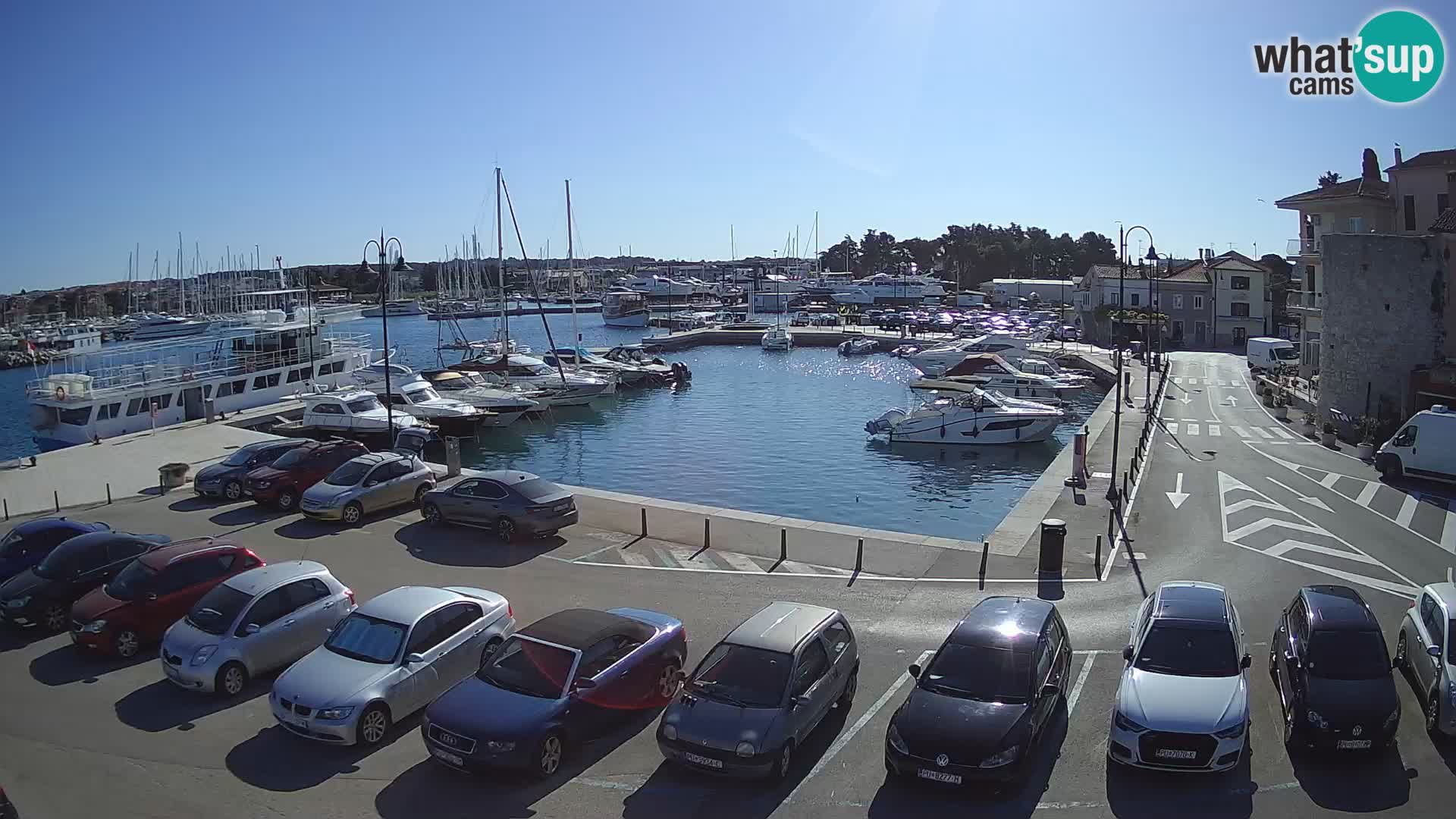 Novigrad | Porporela marina