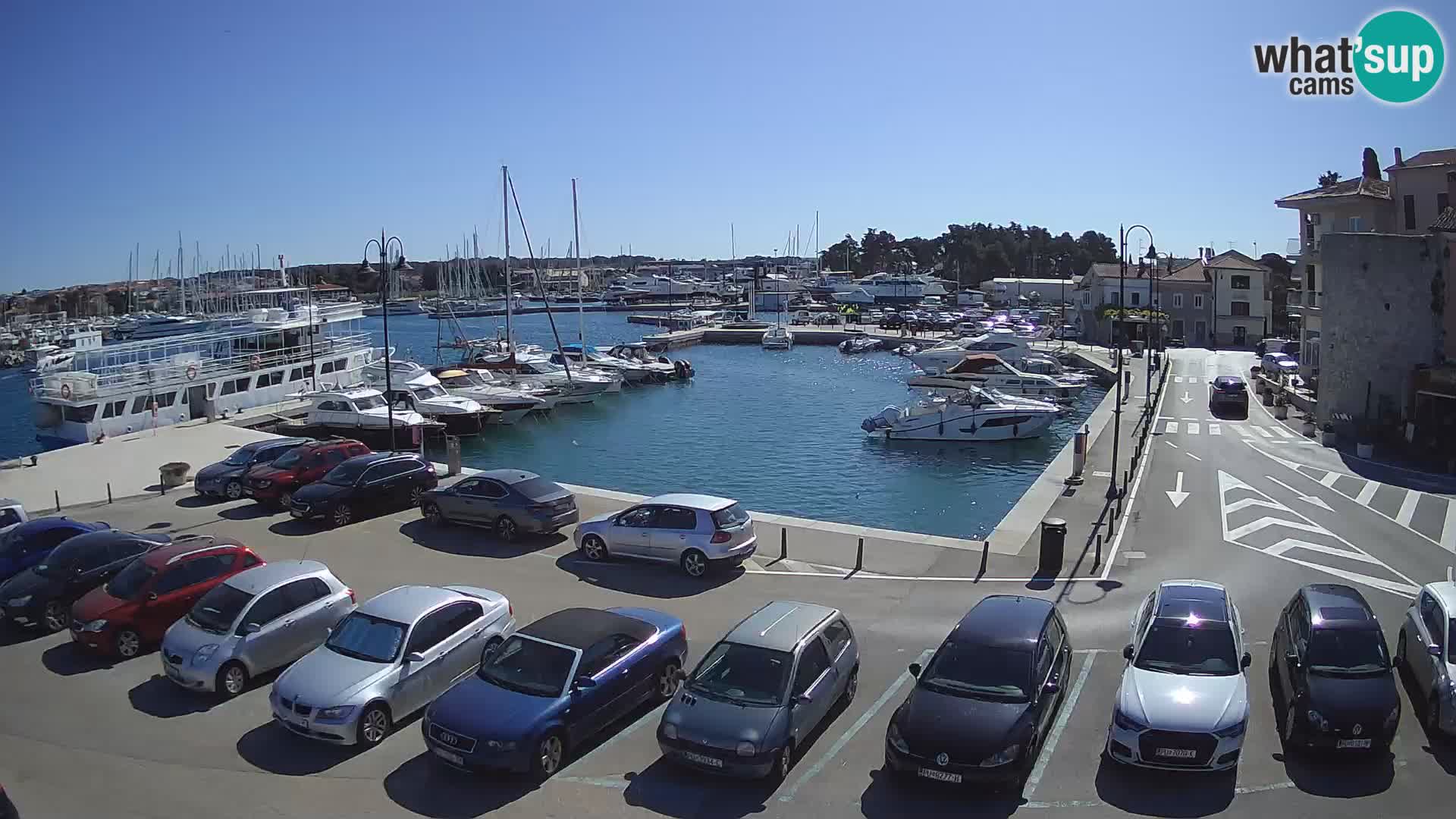 Novigrad | Porporela marina