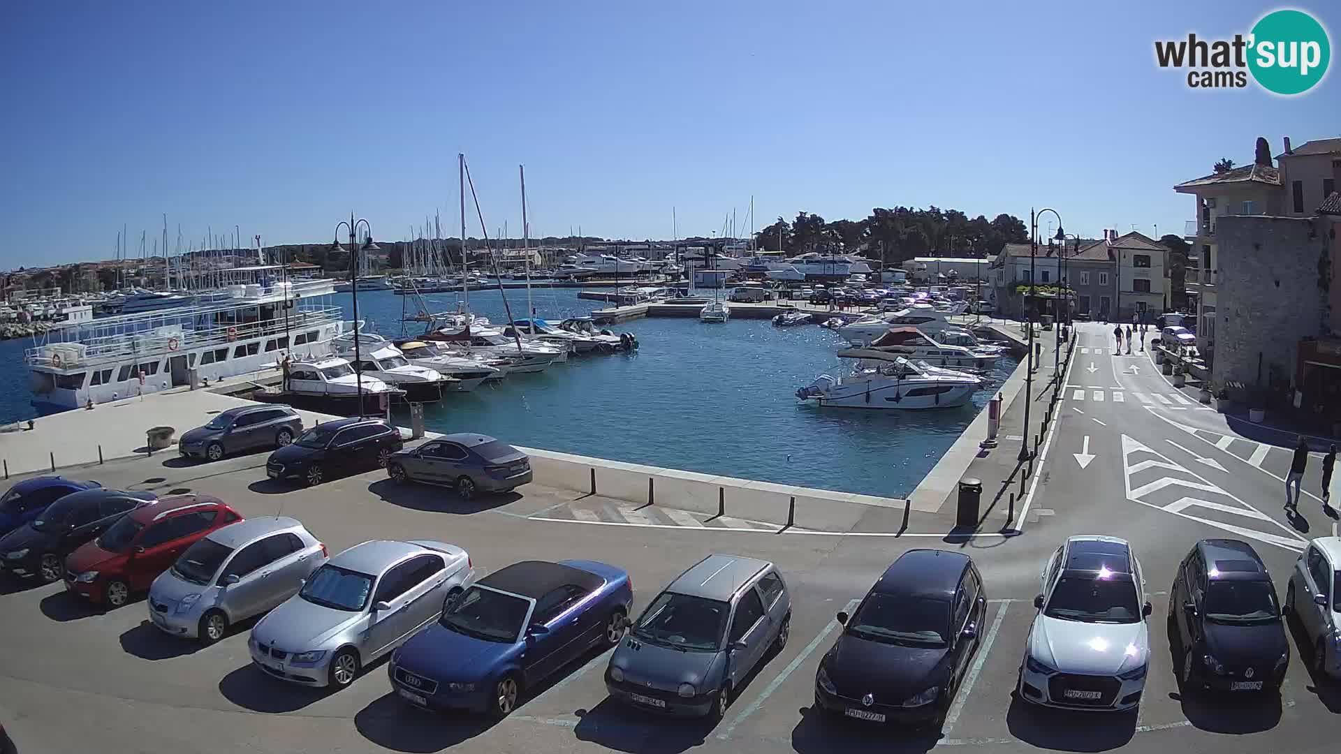 Novigrad | Porporela marina