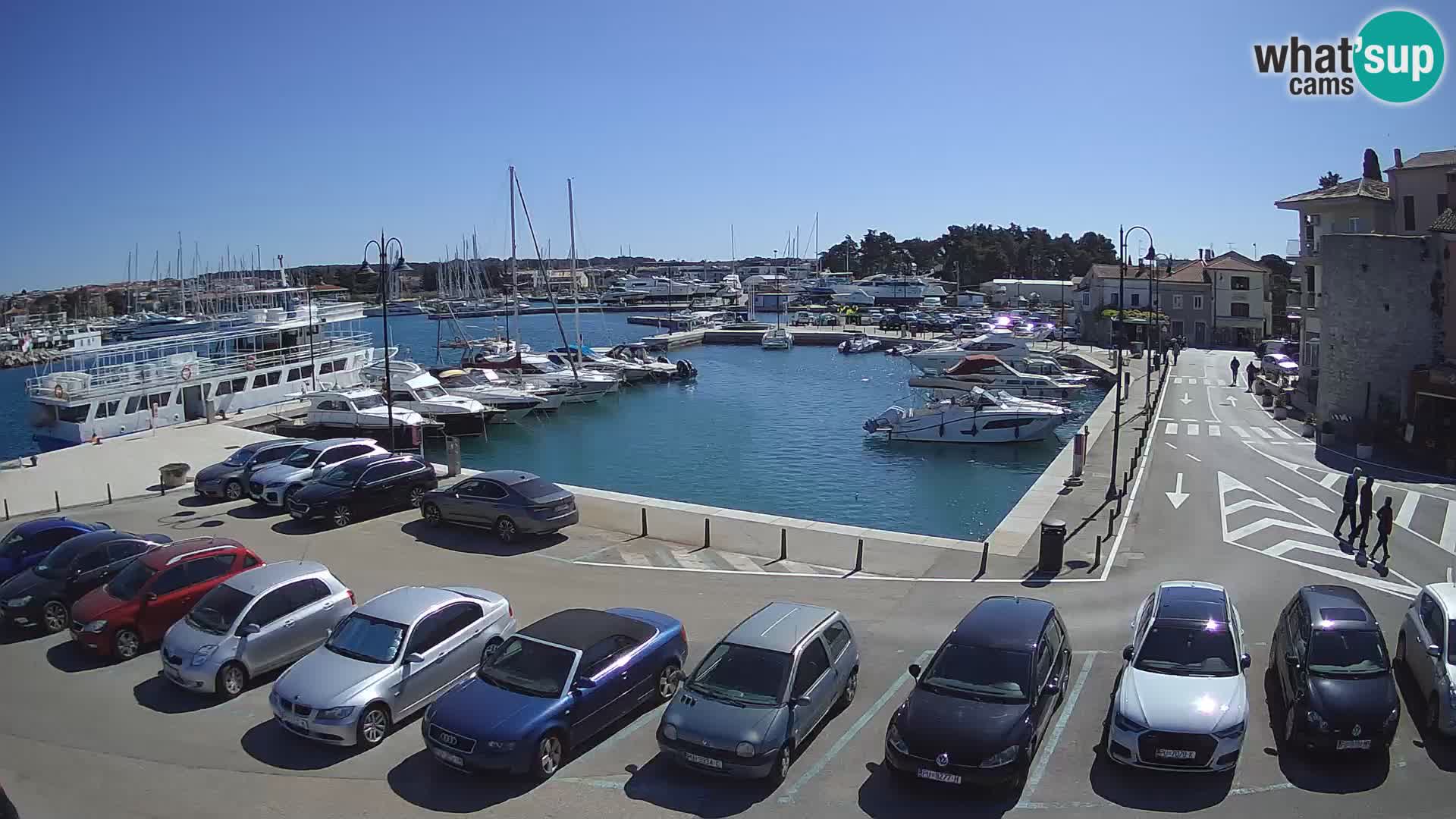 Novigrad | Porporela marina