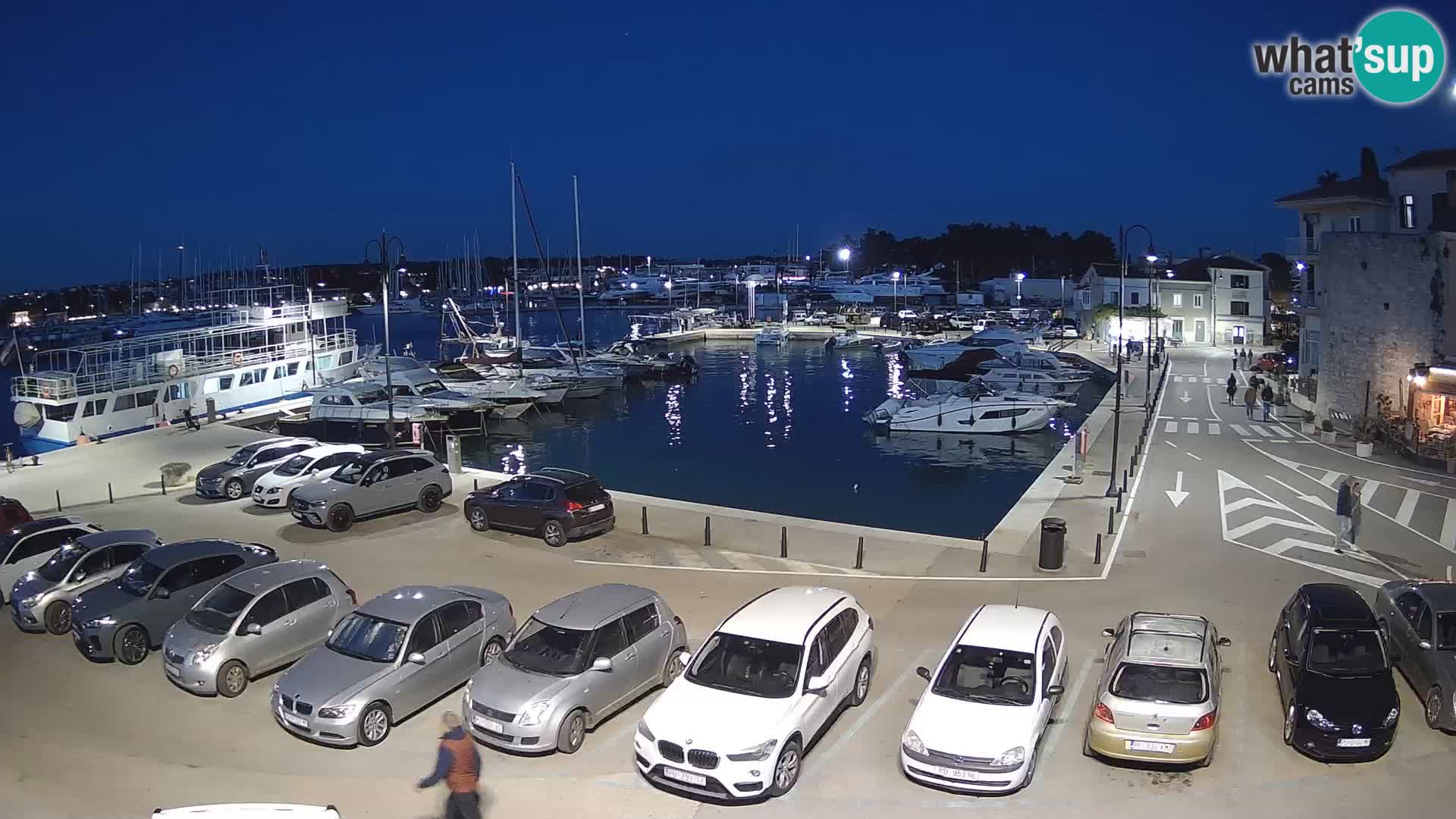 Novigrad | Porporela marina