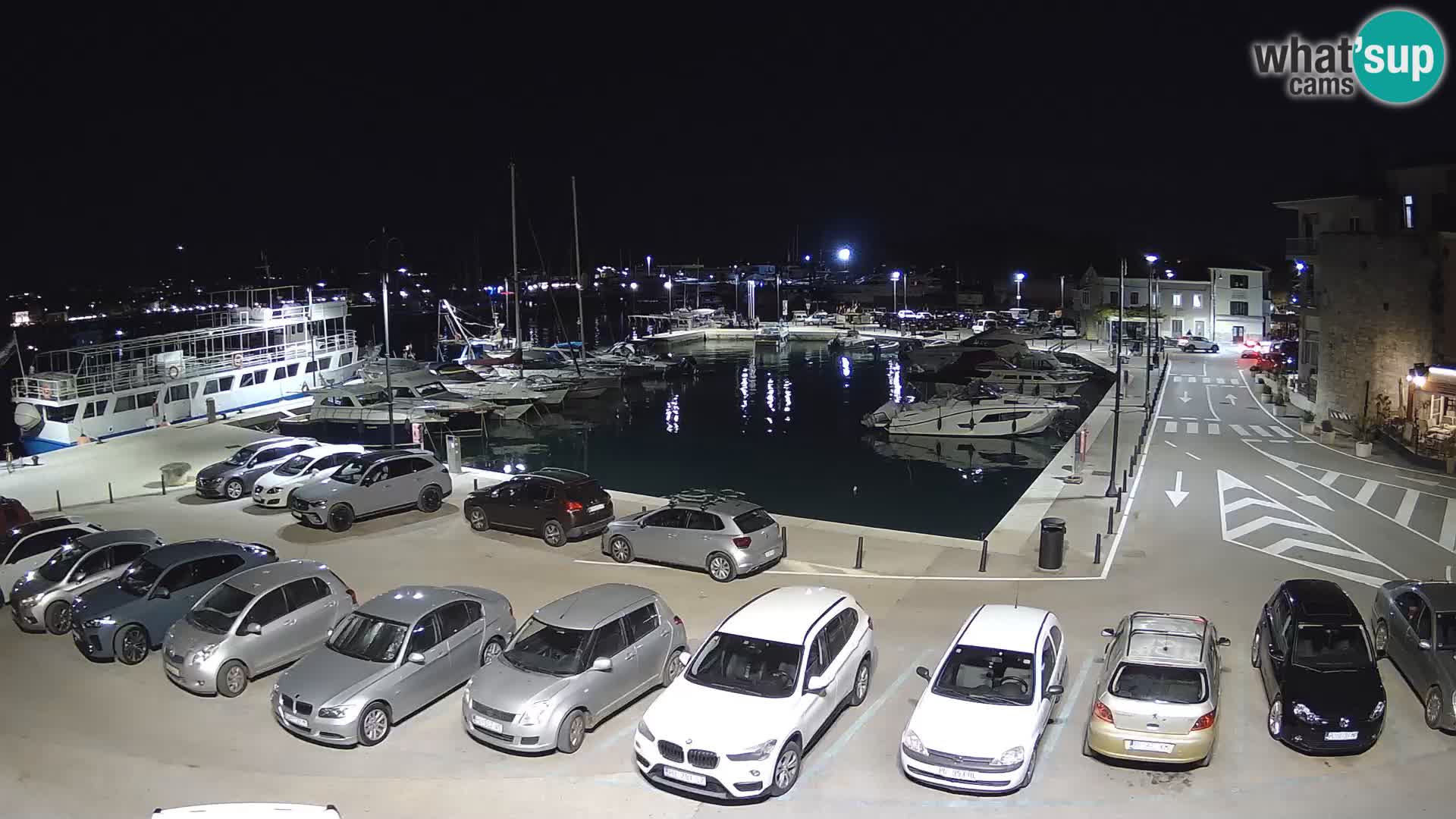 Novigrad | Porporela marina
