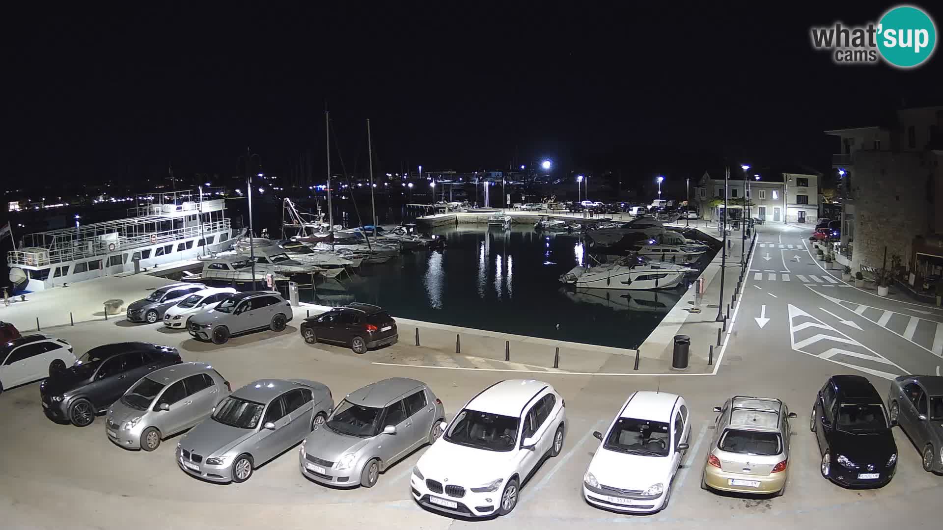 Novigrad | Porporela marina