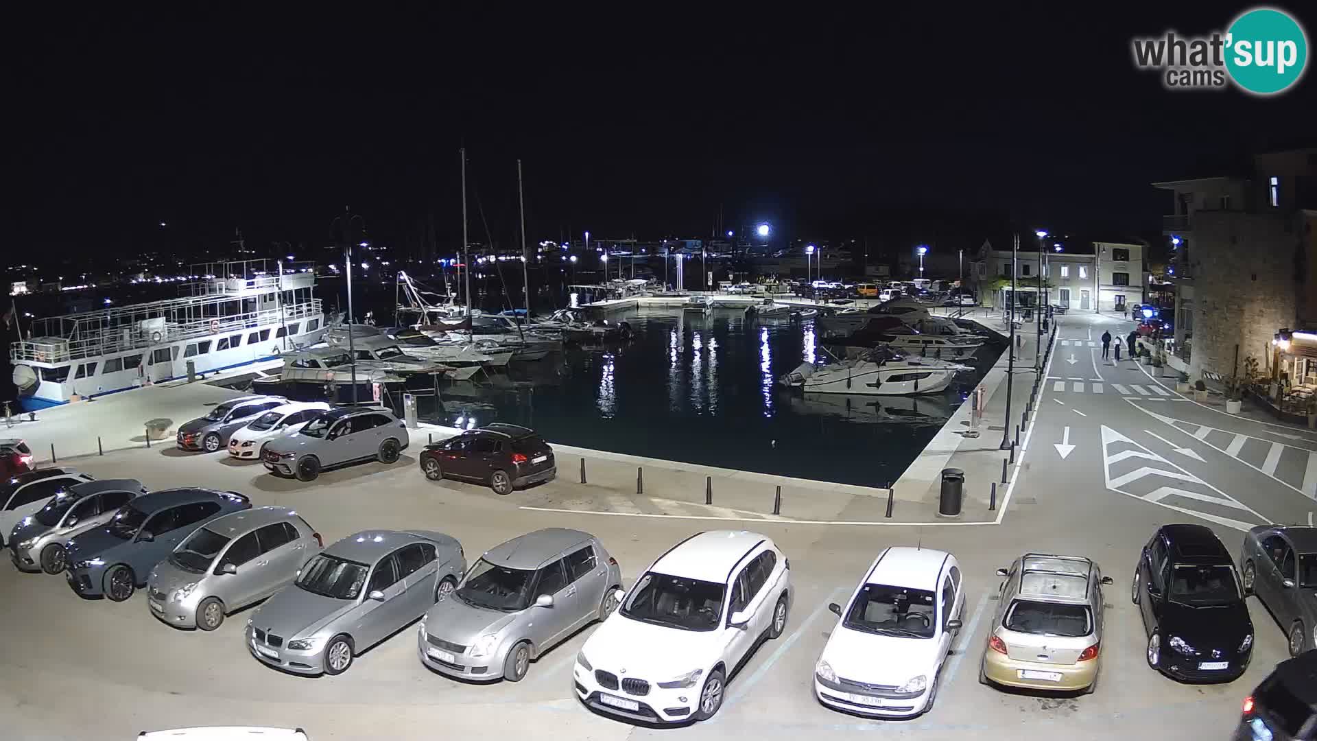 Novigrad | Porporela marina