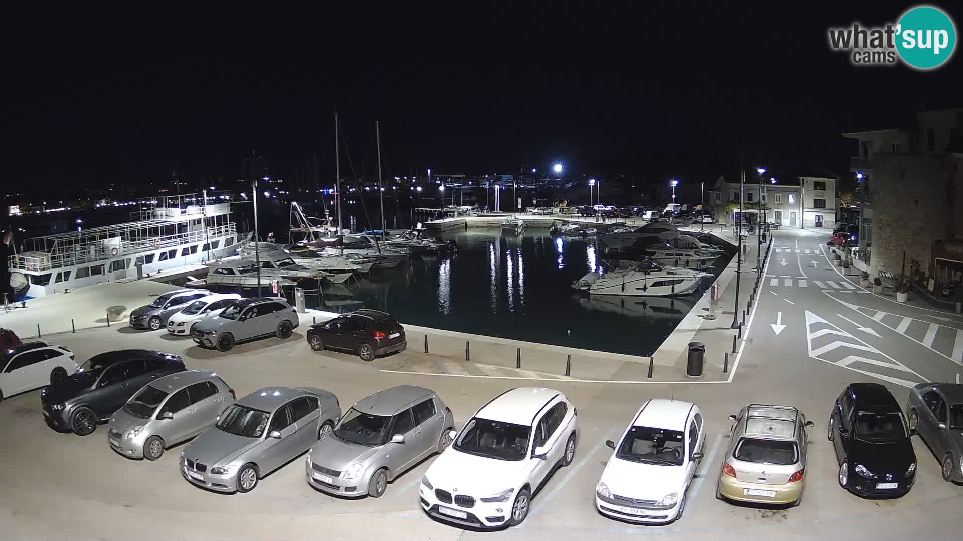 Novigrad | Porporela marina