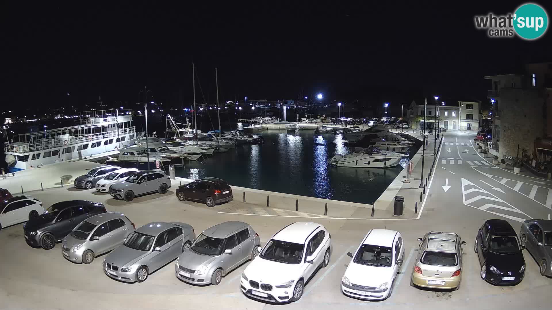 Novigrad | Porporela marina