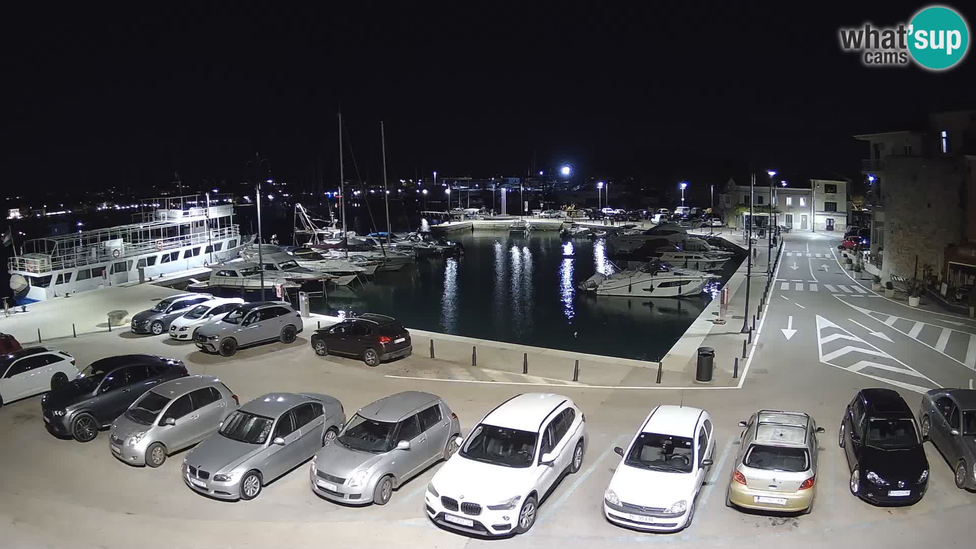 Novigrad | Porporela marina