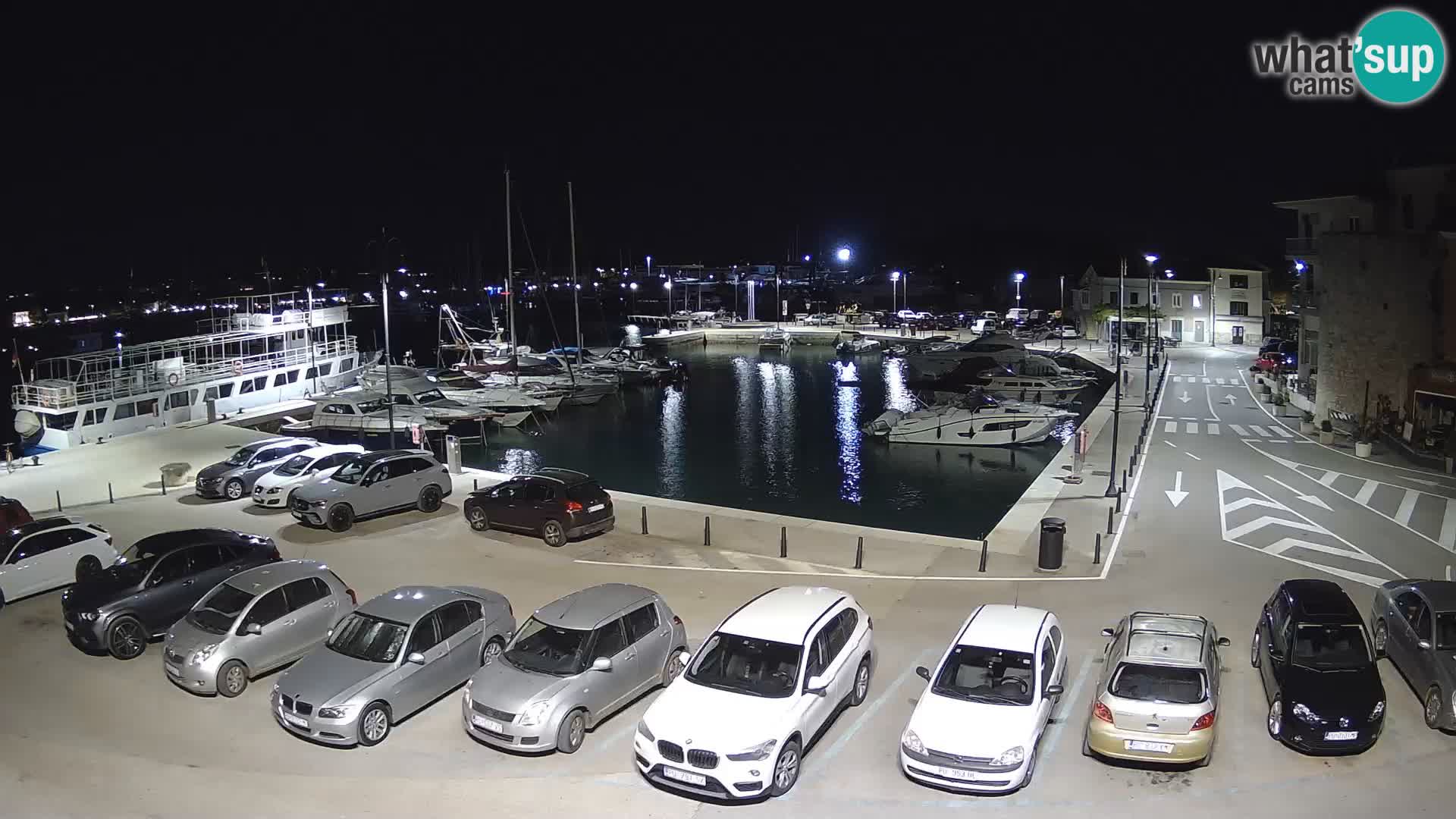 Novigrad | Porporela marina