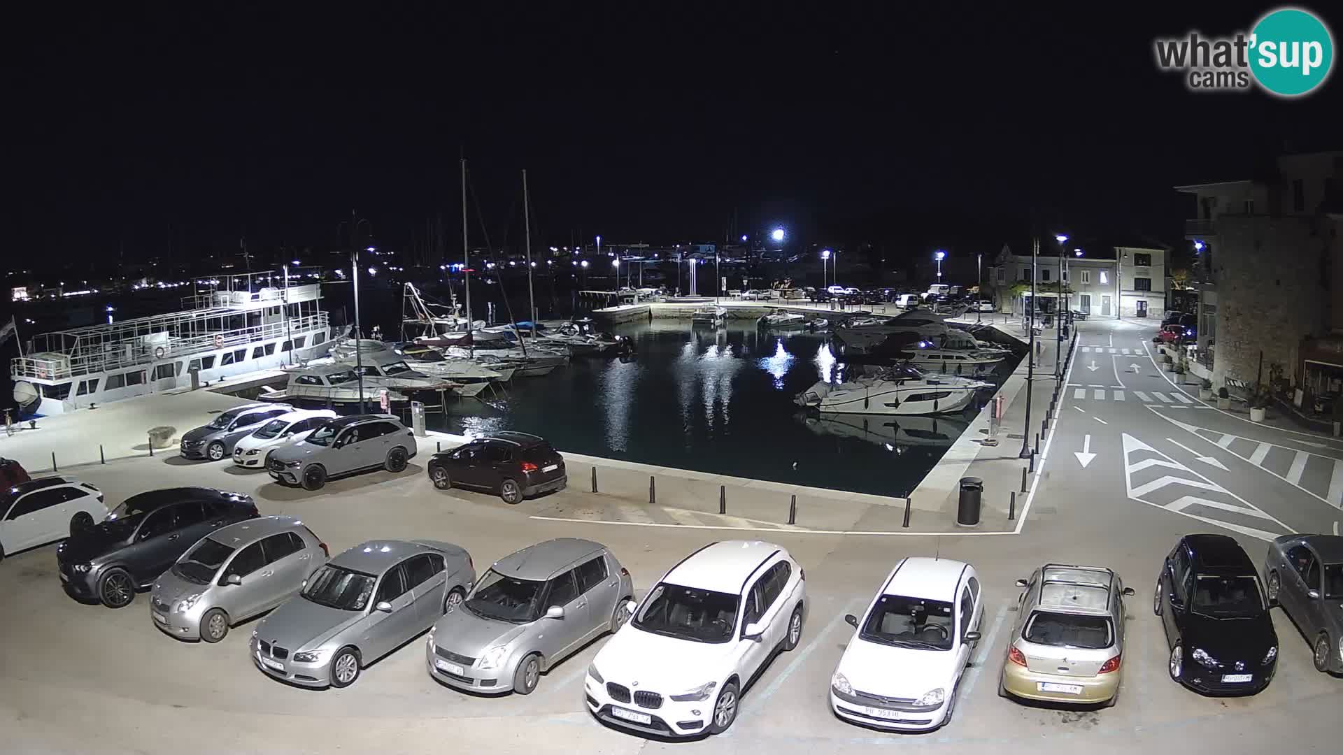 Novigrad | Porporela marina