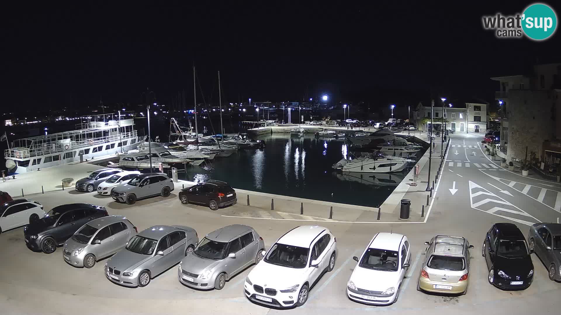 Novigrad | Porporela marina