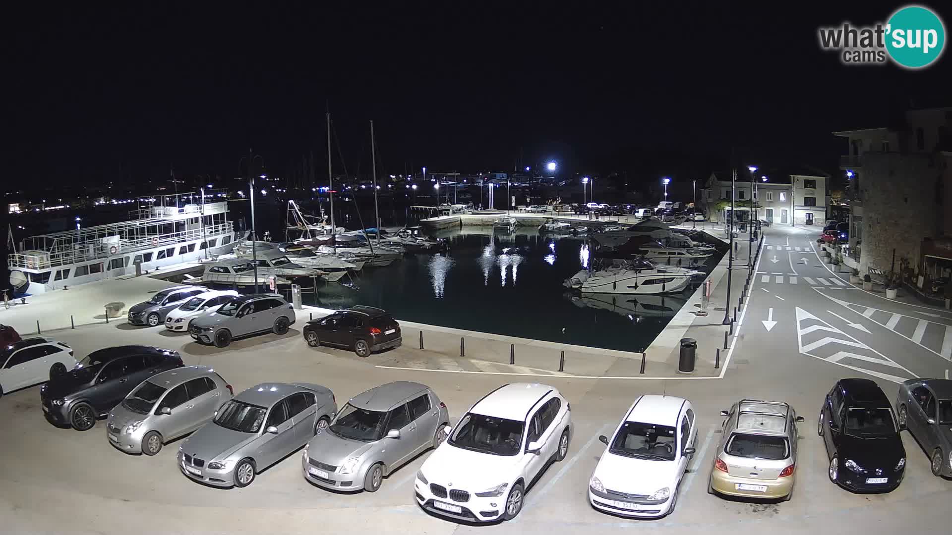 Novigrad | Porporela marina