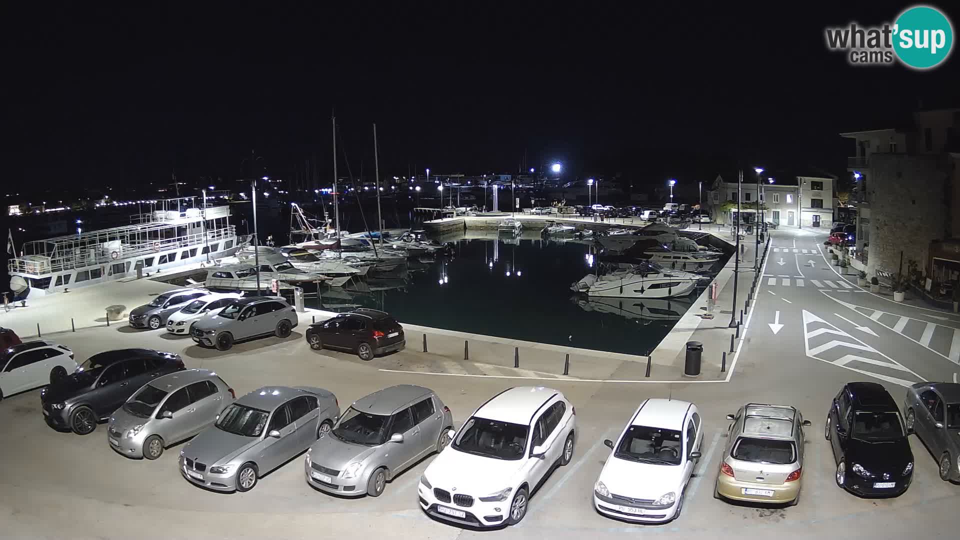 Novigrad | Porporela marina