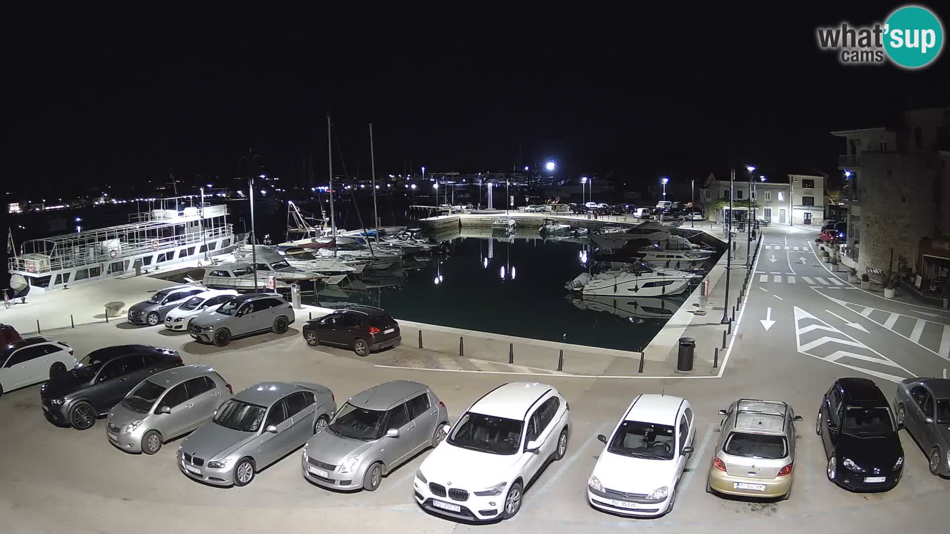 Novigrad | Porporela marina