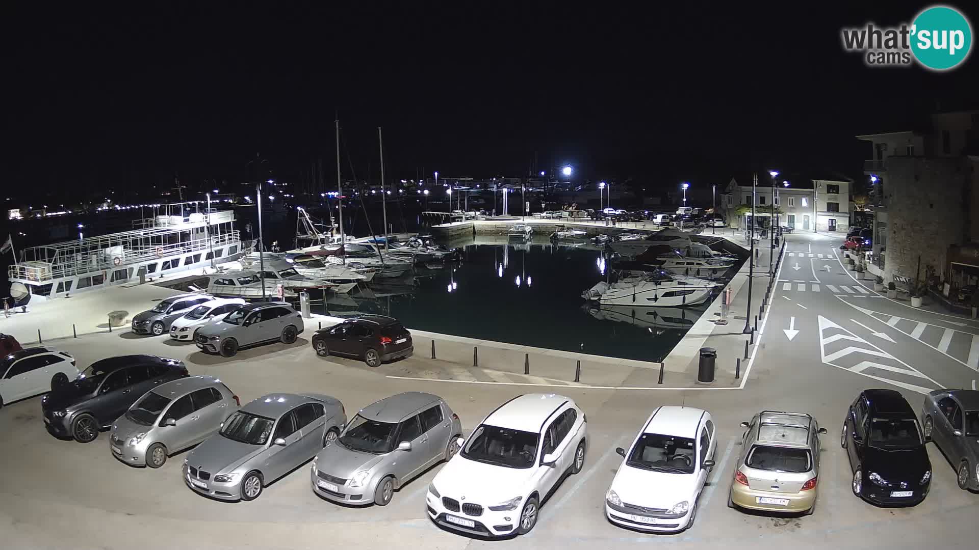 Novigrad | Porporela marina