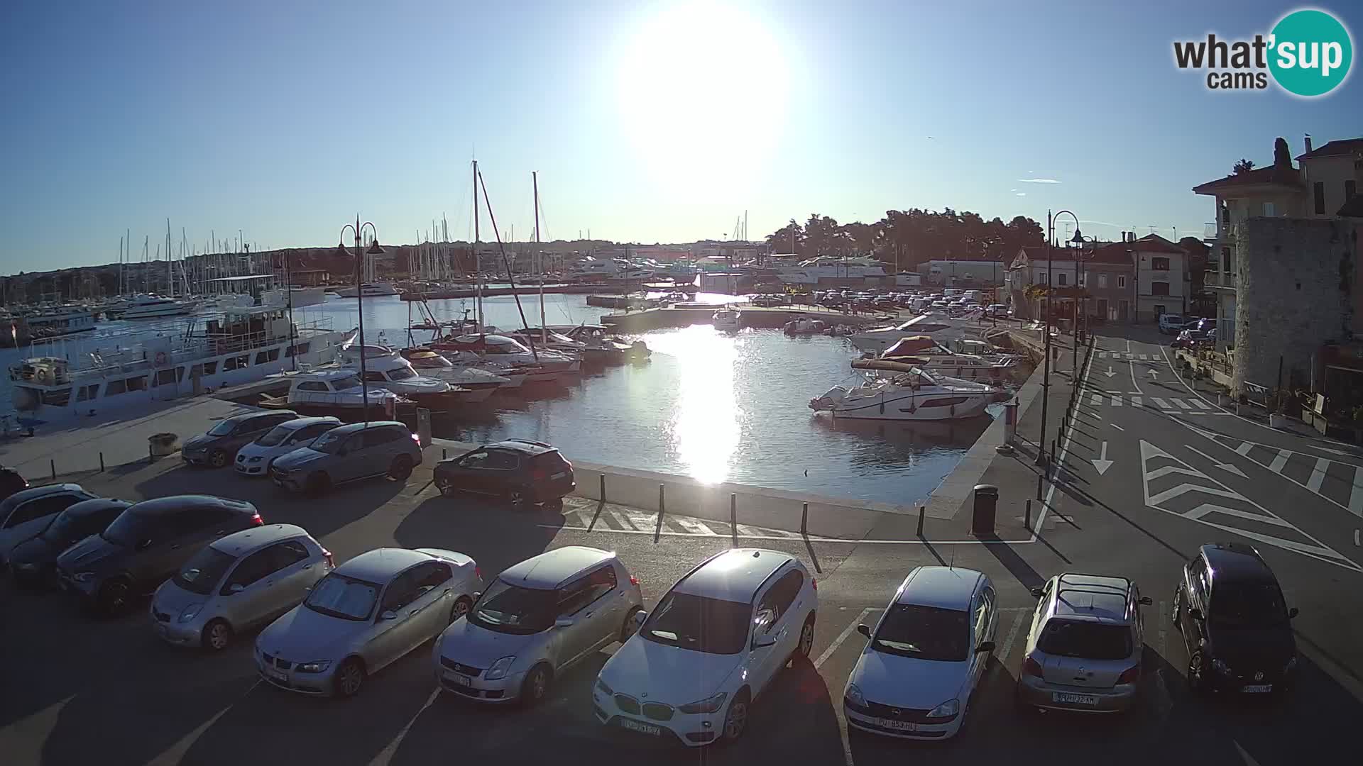 Novigrad | Porporela marina