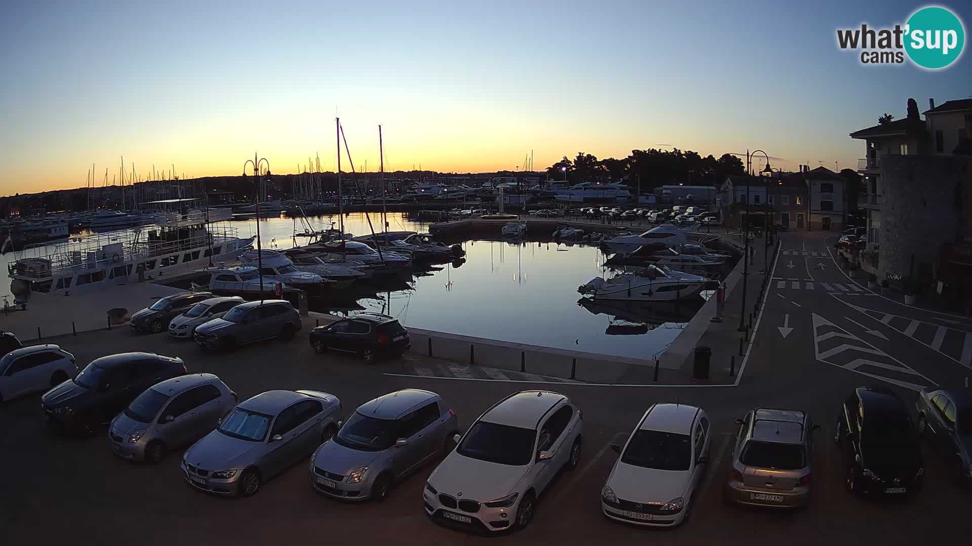 Novigrad | Porporela marina
