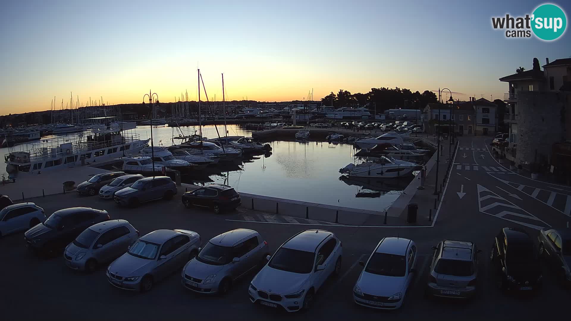 Novigrad | Porporela marina