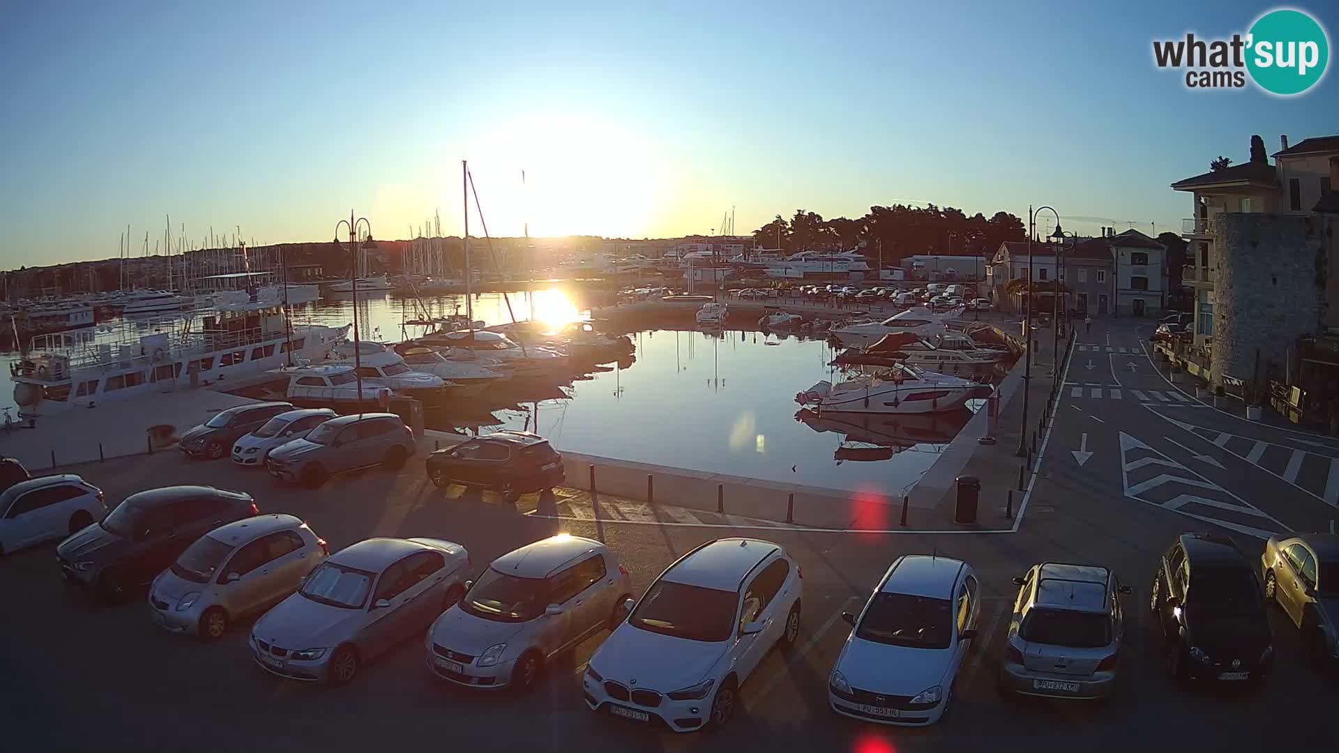 Novigrad | Porporela marina