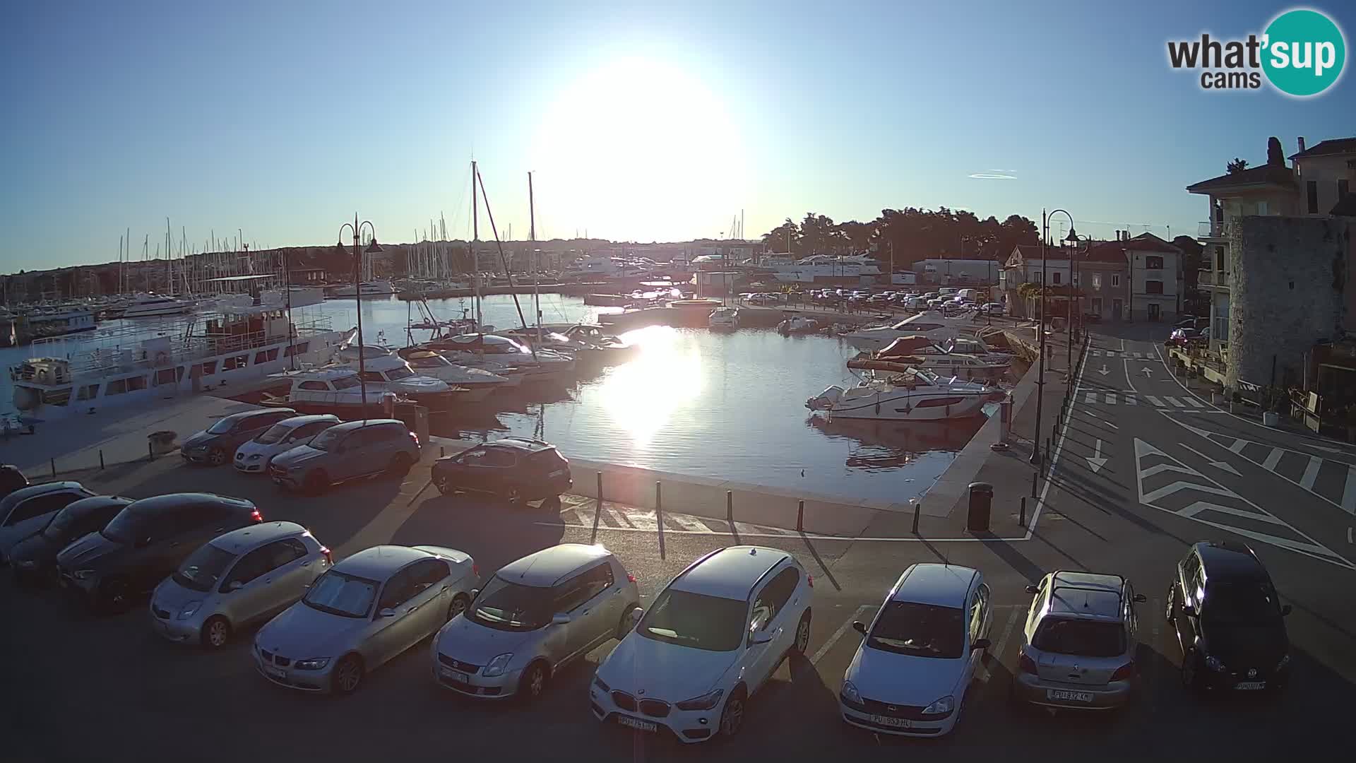 Novigrad | Porporela marina