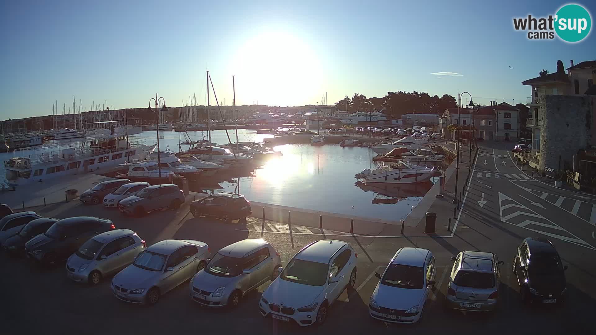 Novigrad | Porporela marina