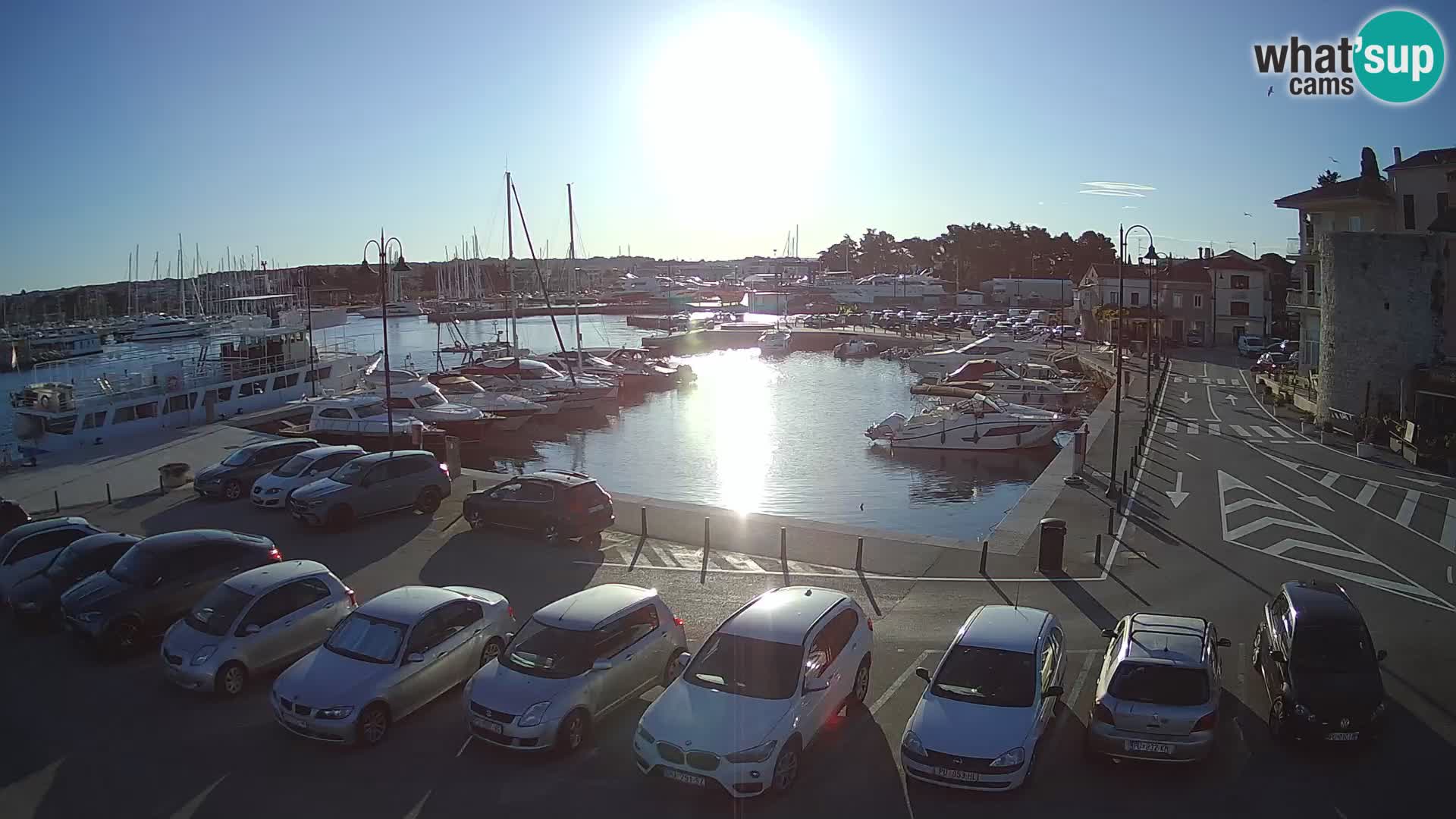 Novigrad | Porporela marina