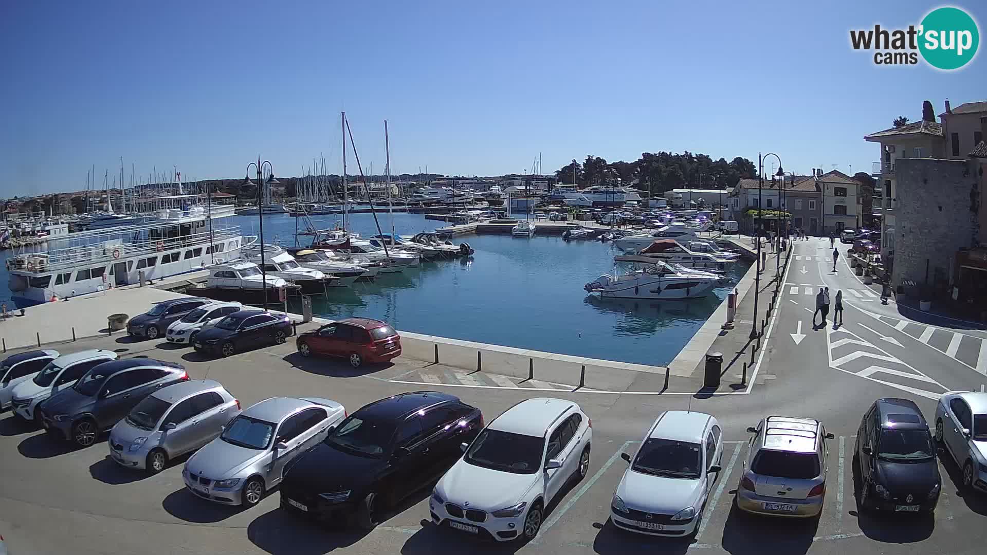 Novigrad | Porporela marina