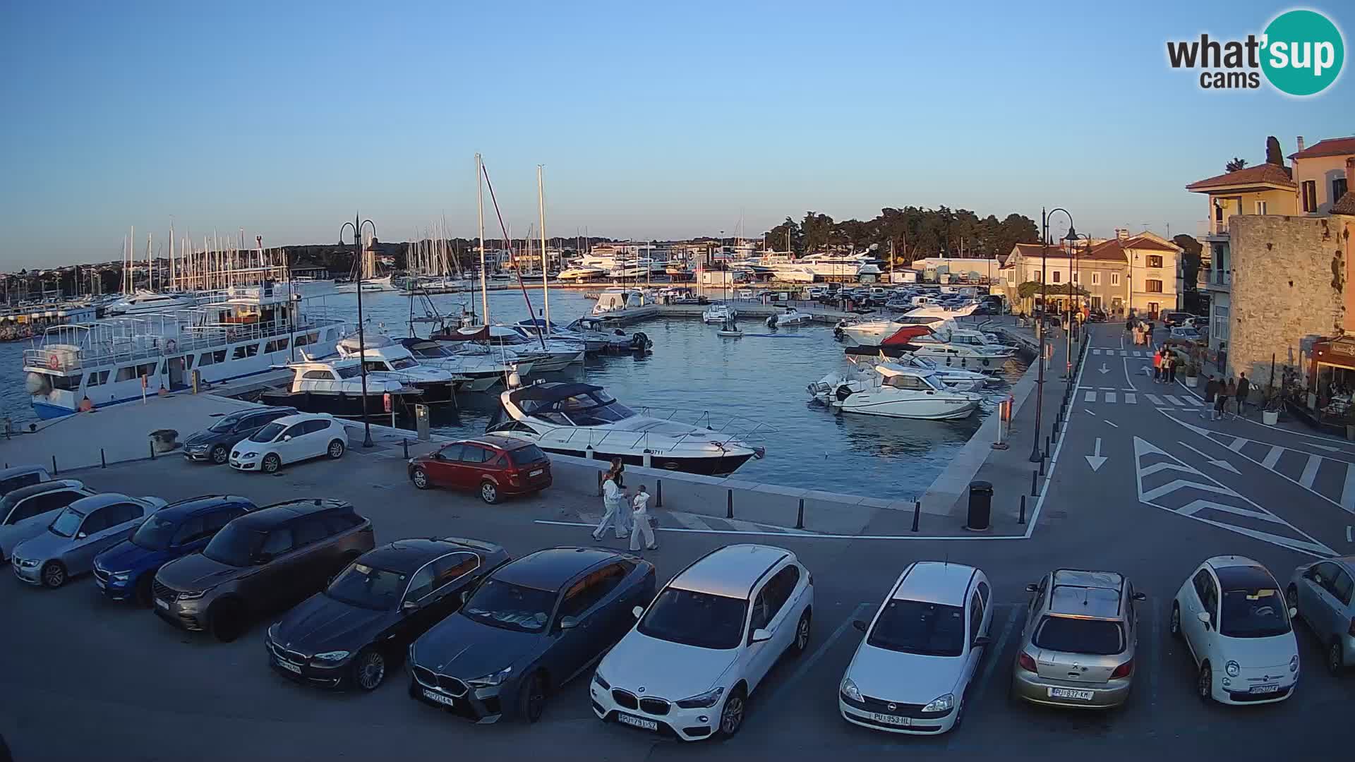 Novigrad | Porporela marina