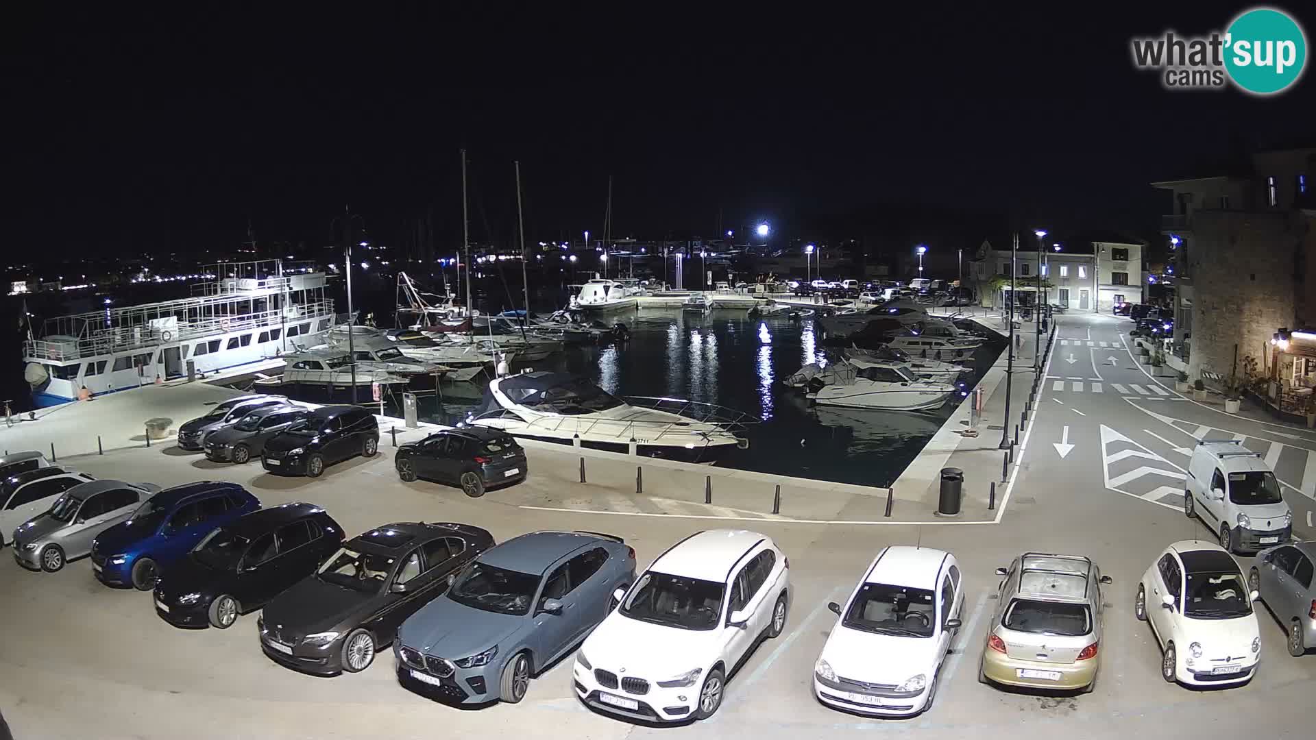 Novigrad | Porporela marina