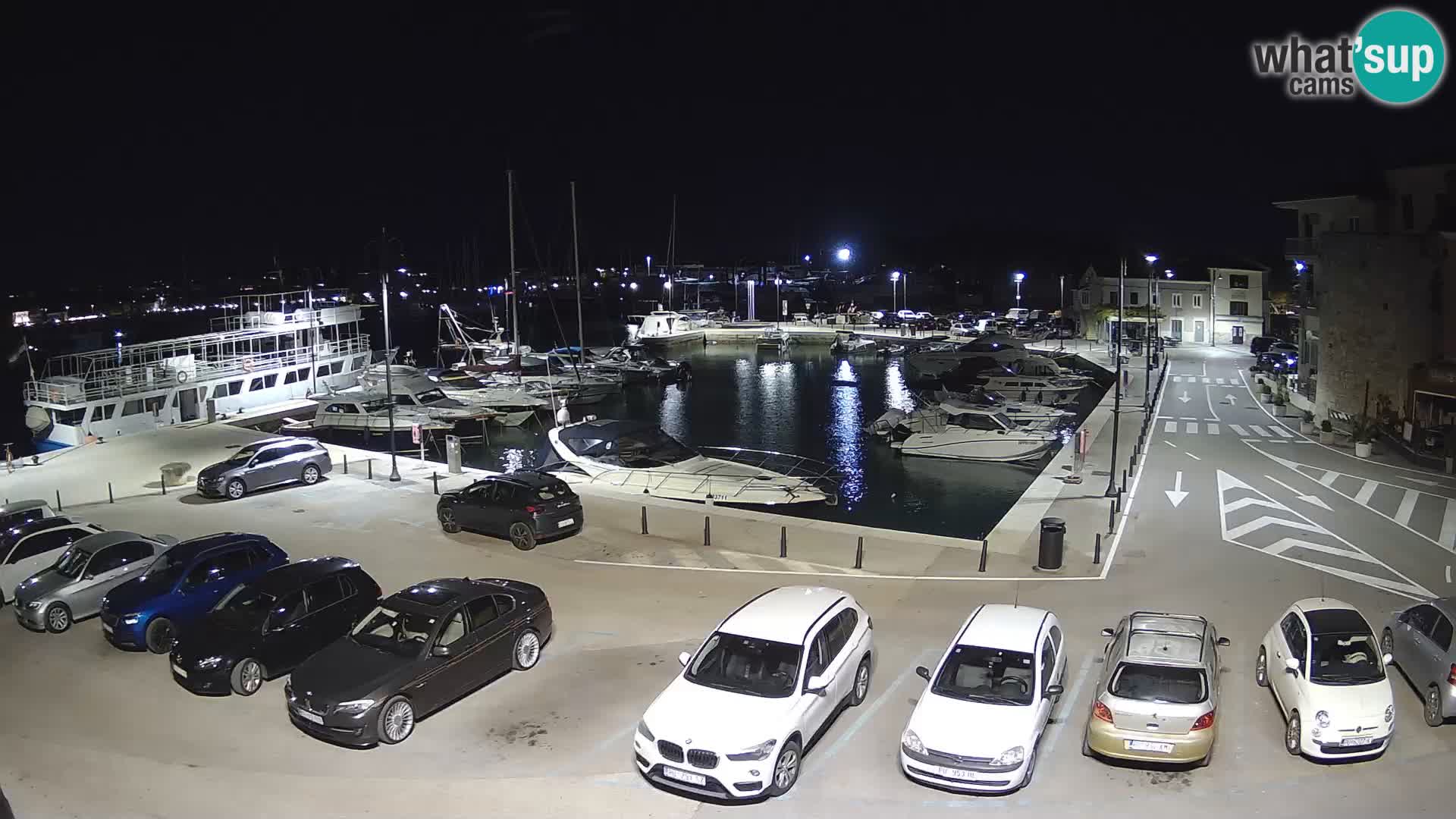Novigrad | Porporela marina