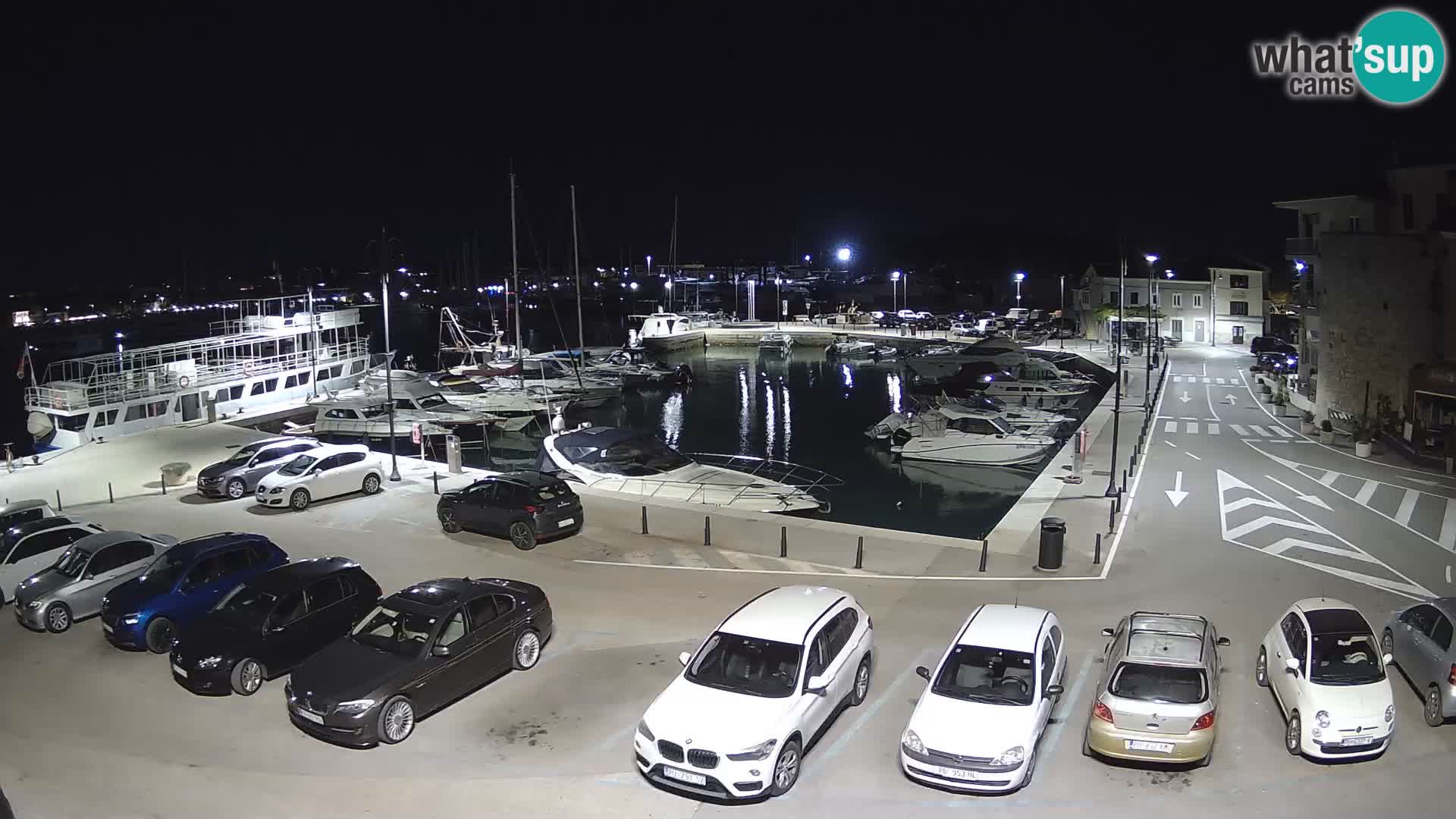 Novigrad | Porporela marina