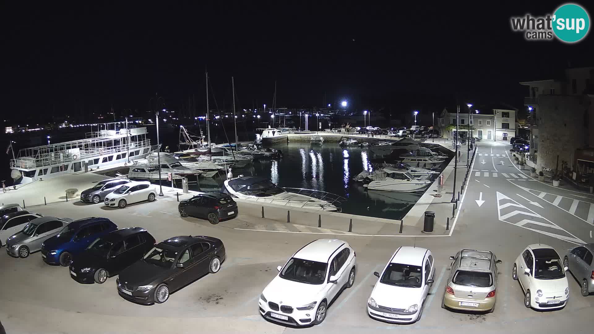 Novigrad | Porporela marina