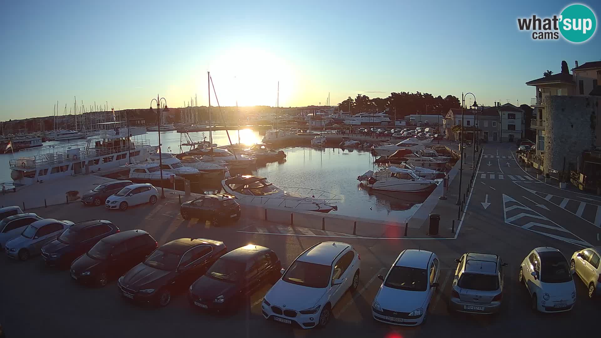 Novigrad | Porporela marina