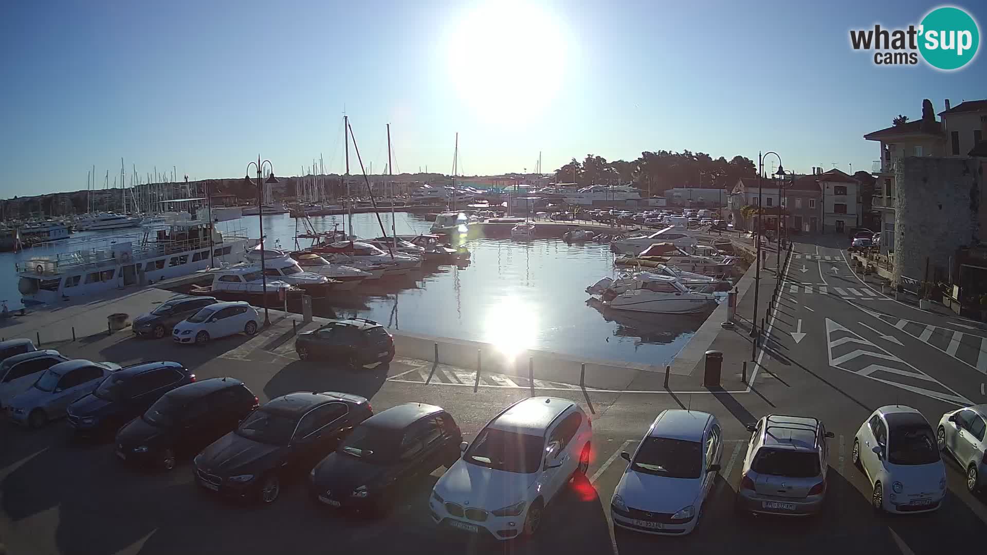 Novigrad | Porporela marina