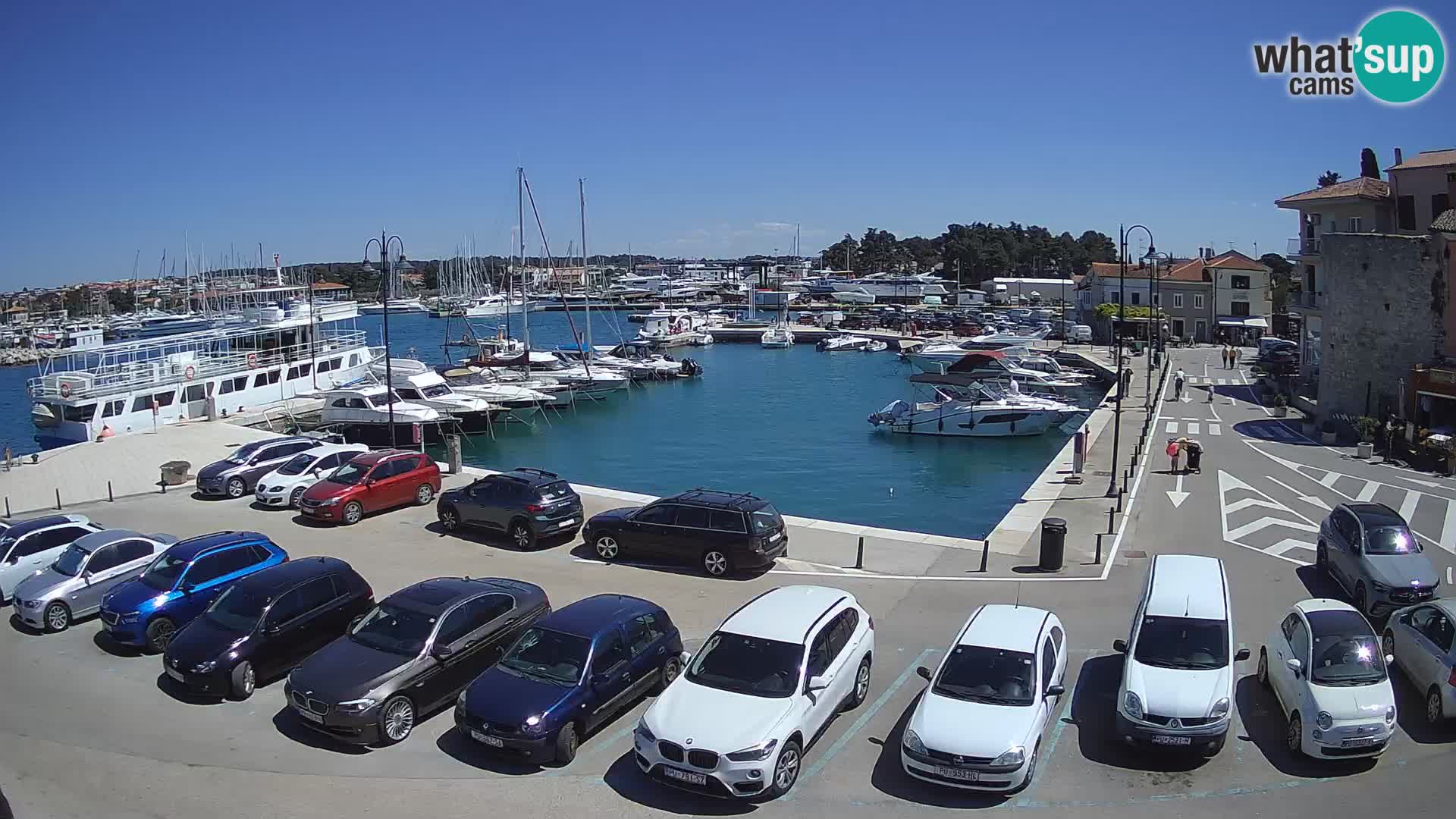Novigrad | Porporela marina