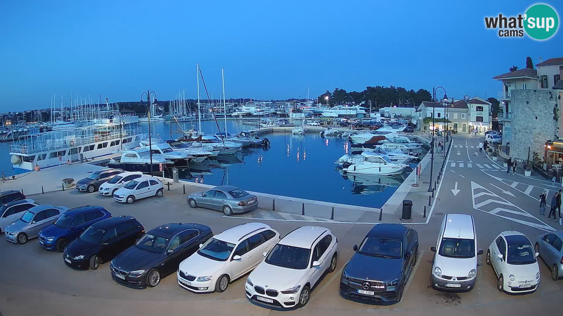 Novigrad | Porporela marina