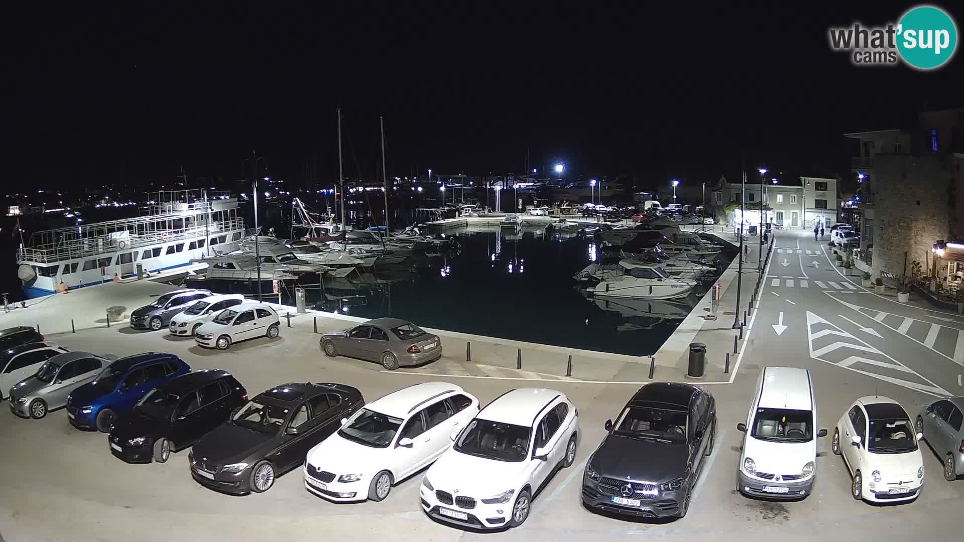 Novigrad | Porporela marina