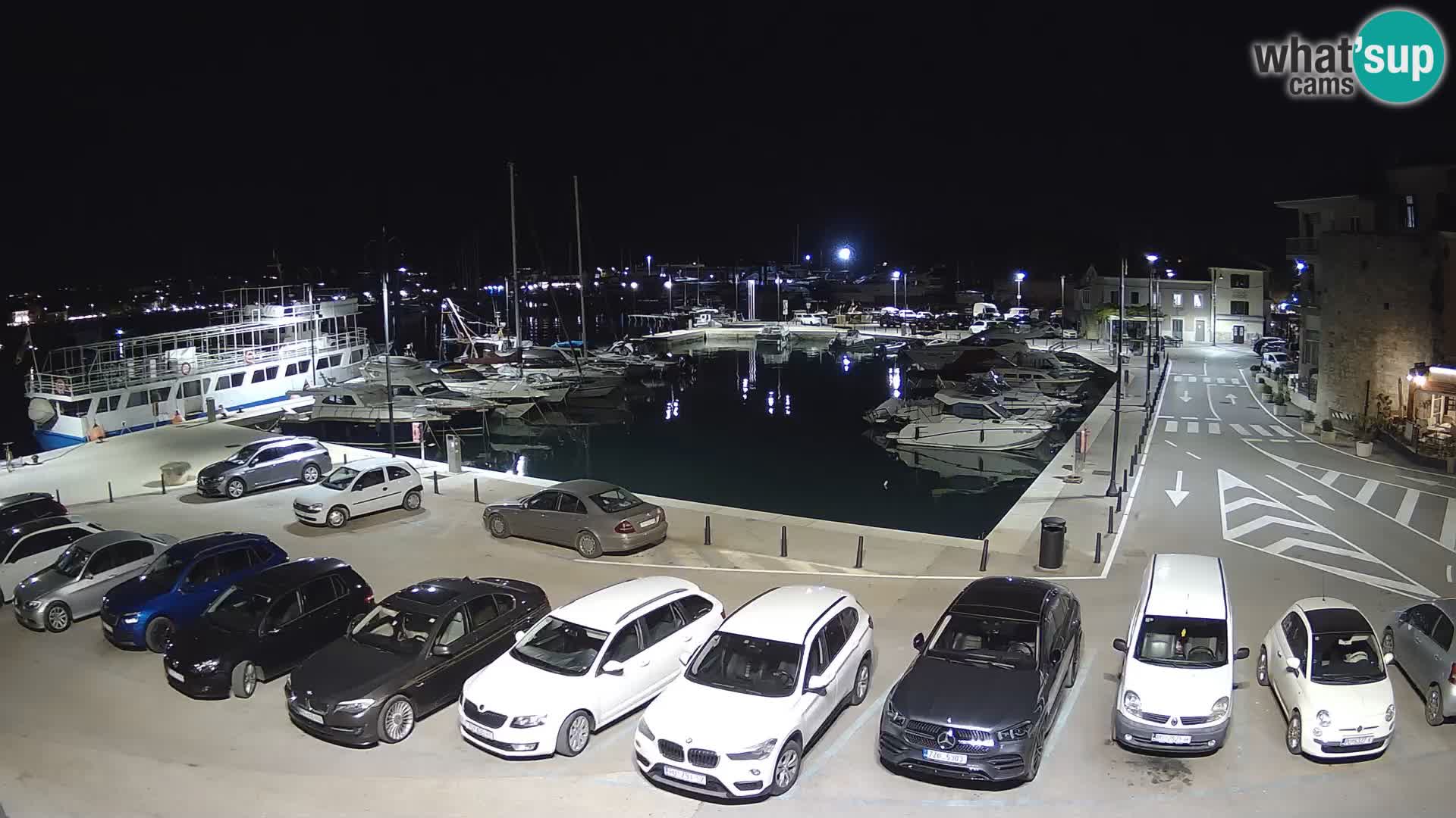 Novigrad | Porporela marina
