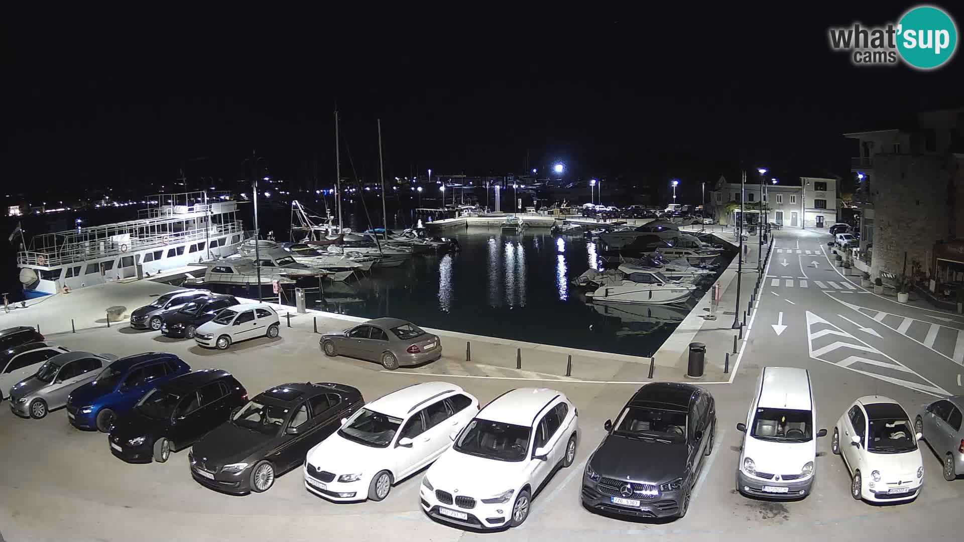 Novigrad | Porporela marina