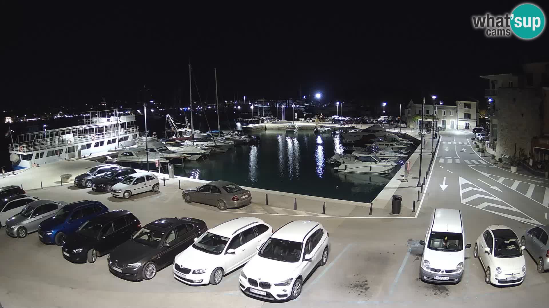 Novigrad | Porporela marina