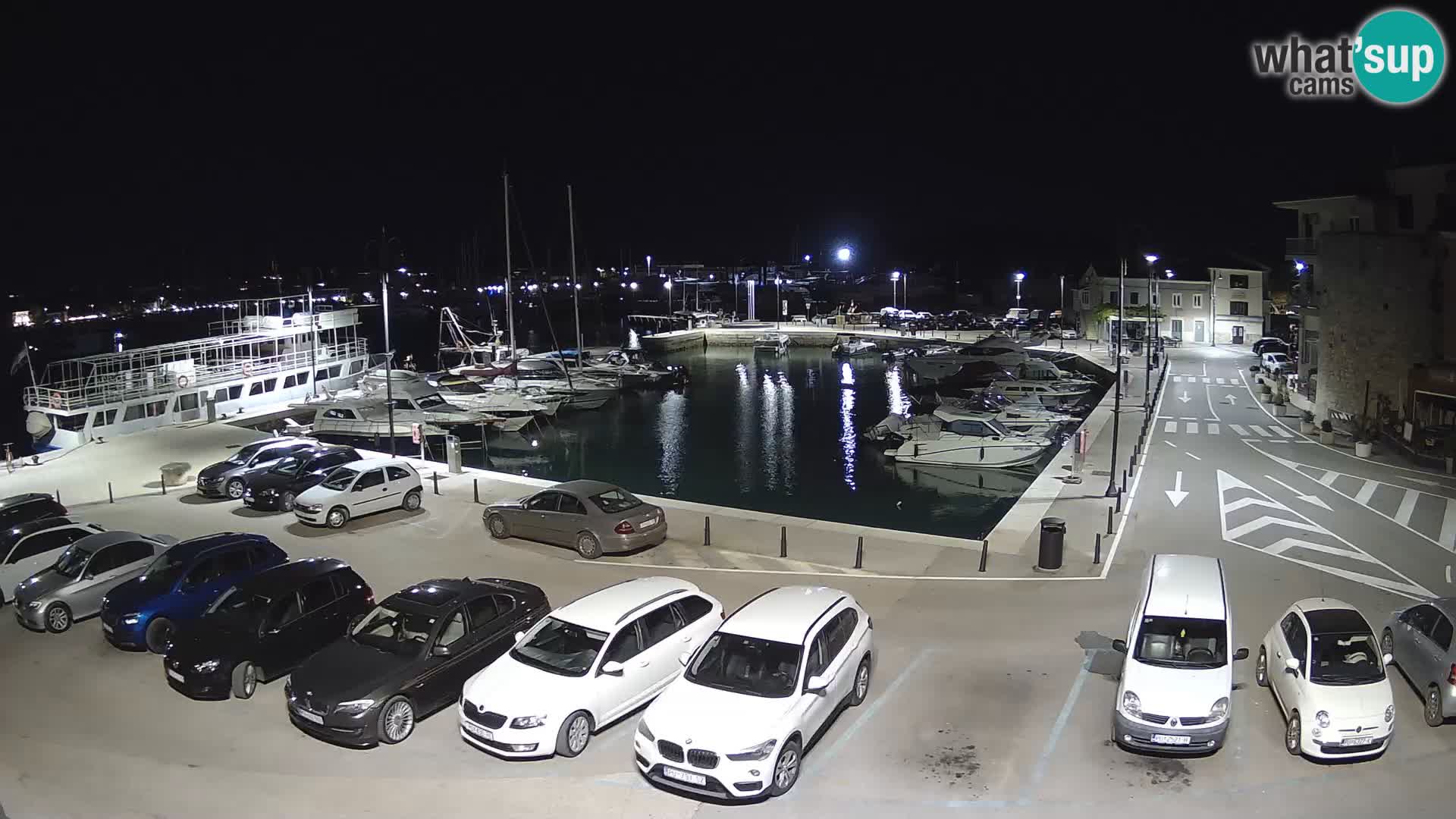 Novigrad | Porporela marina