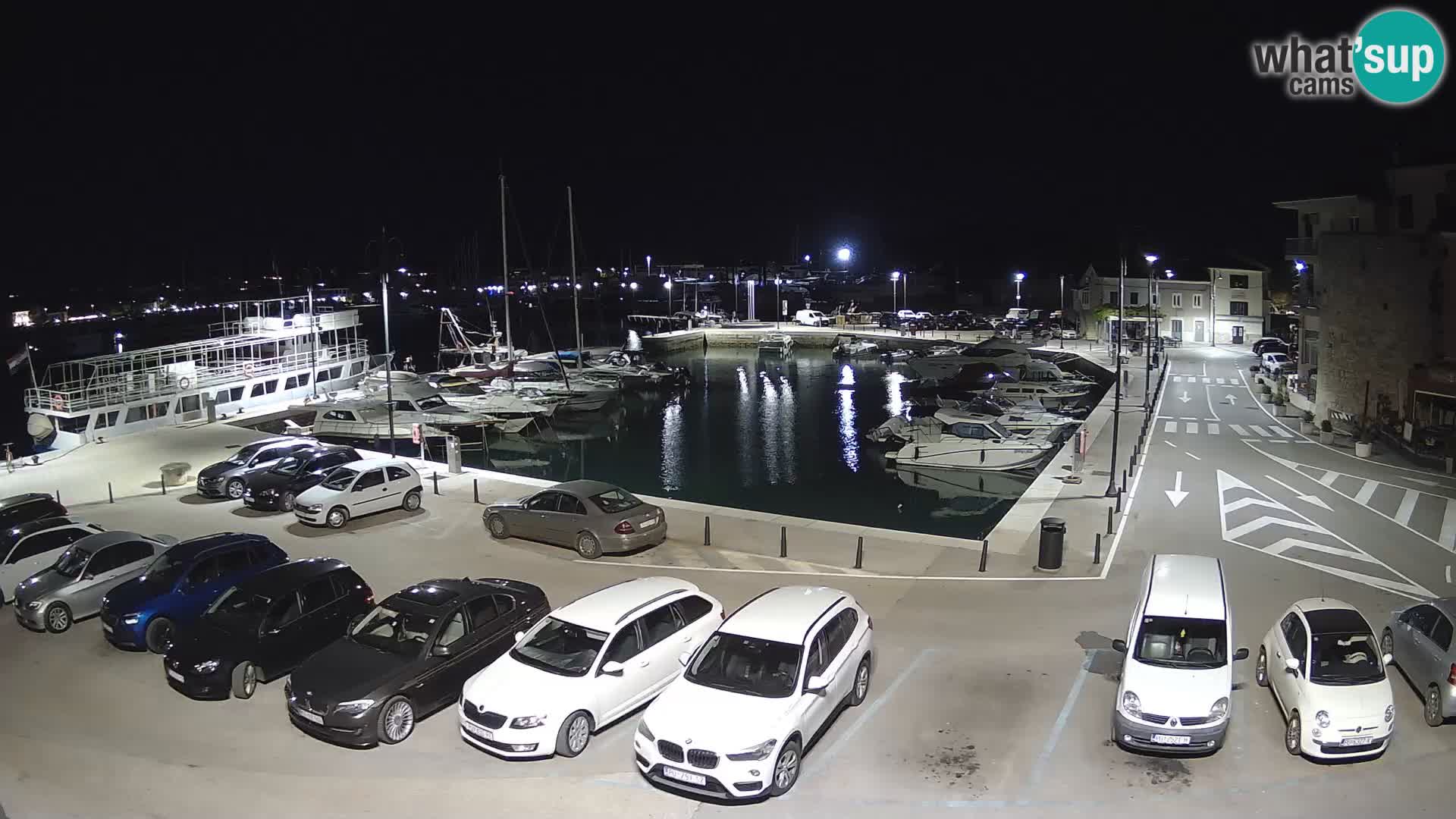 Novigrad | Porporela marina