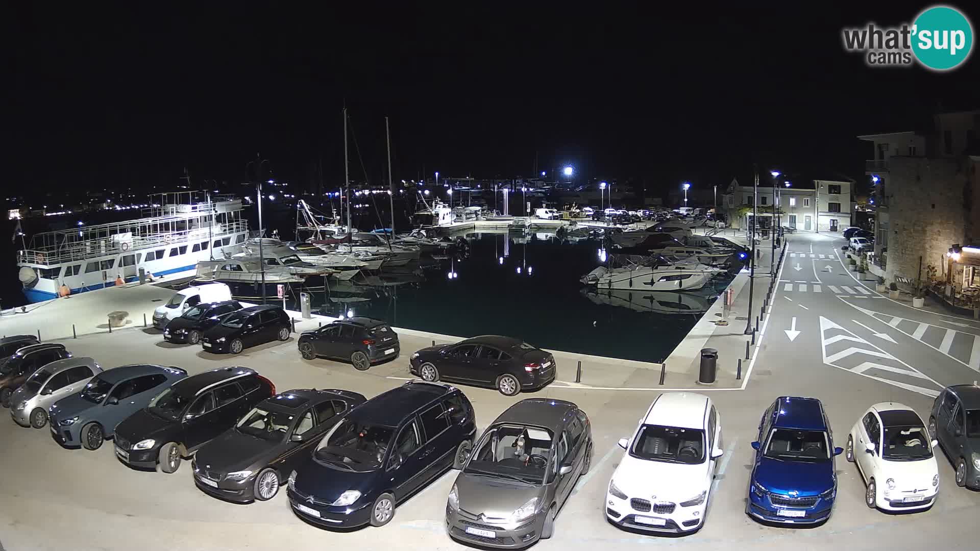 Novigrad | Porporela marina