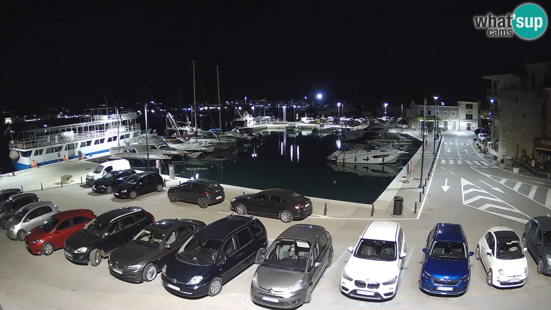 Novigrad | Porporela marina