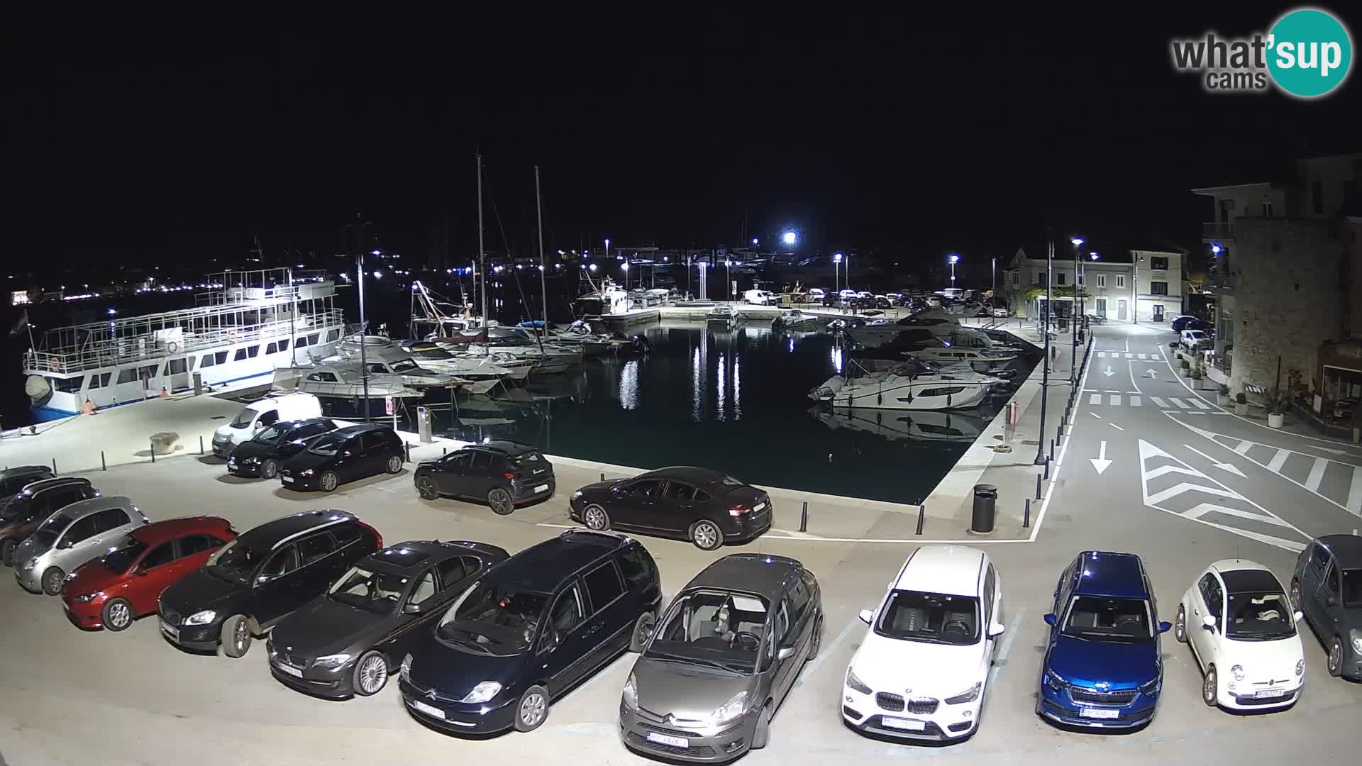 Novigrad | Porporela marina