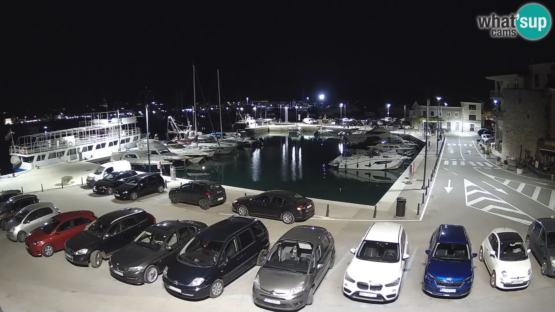 Novigrad | Porporela marina