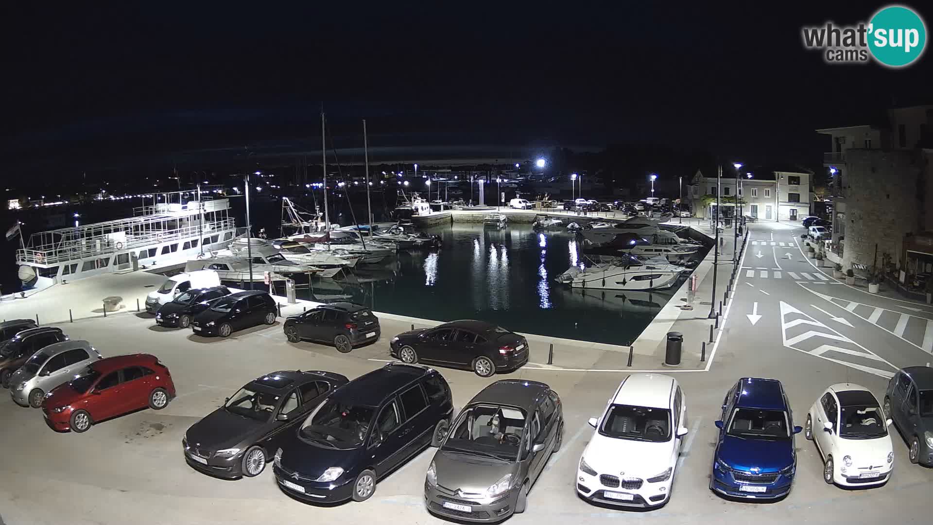 Novigrad | Porporela marina