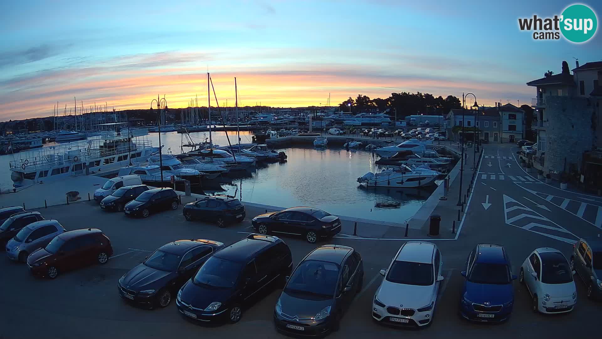 Novigrad | Porporela marina