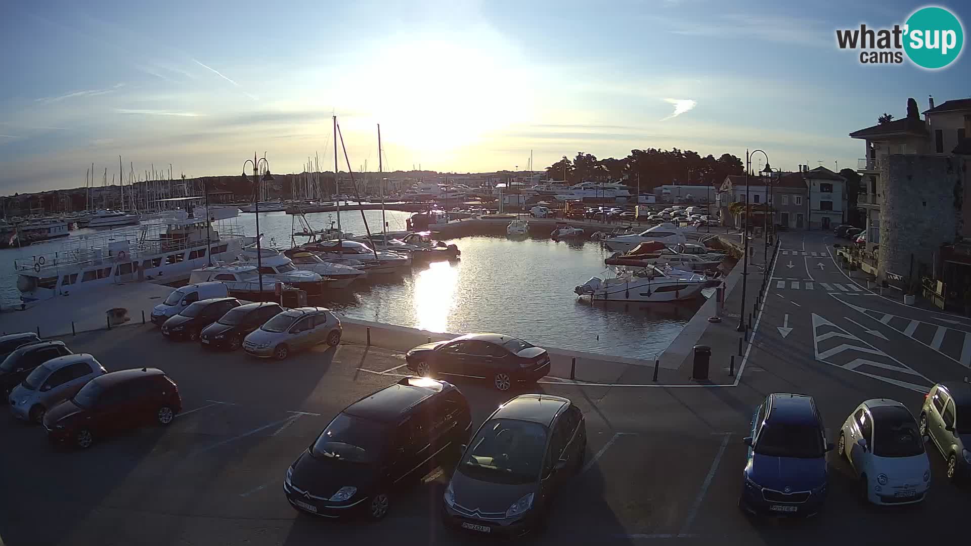Novigrad | Porporela marina