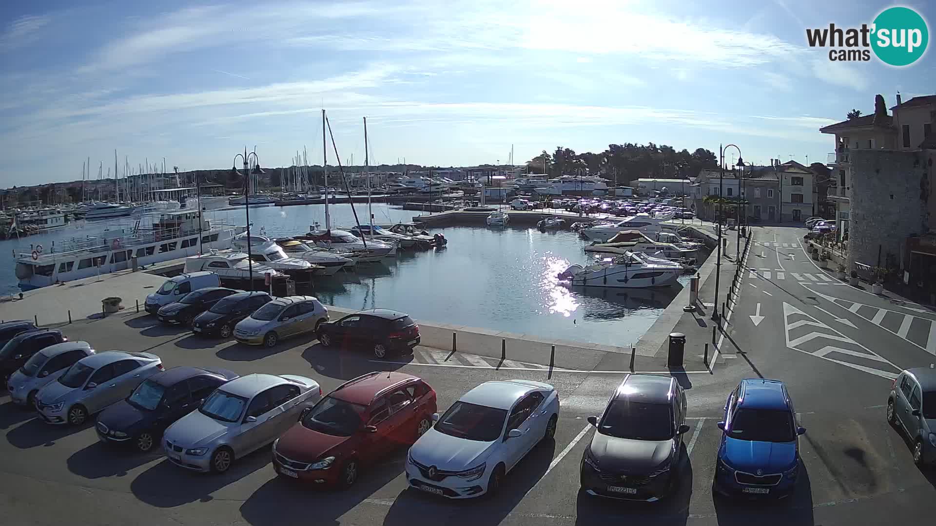 Novigrad | Porporela marina