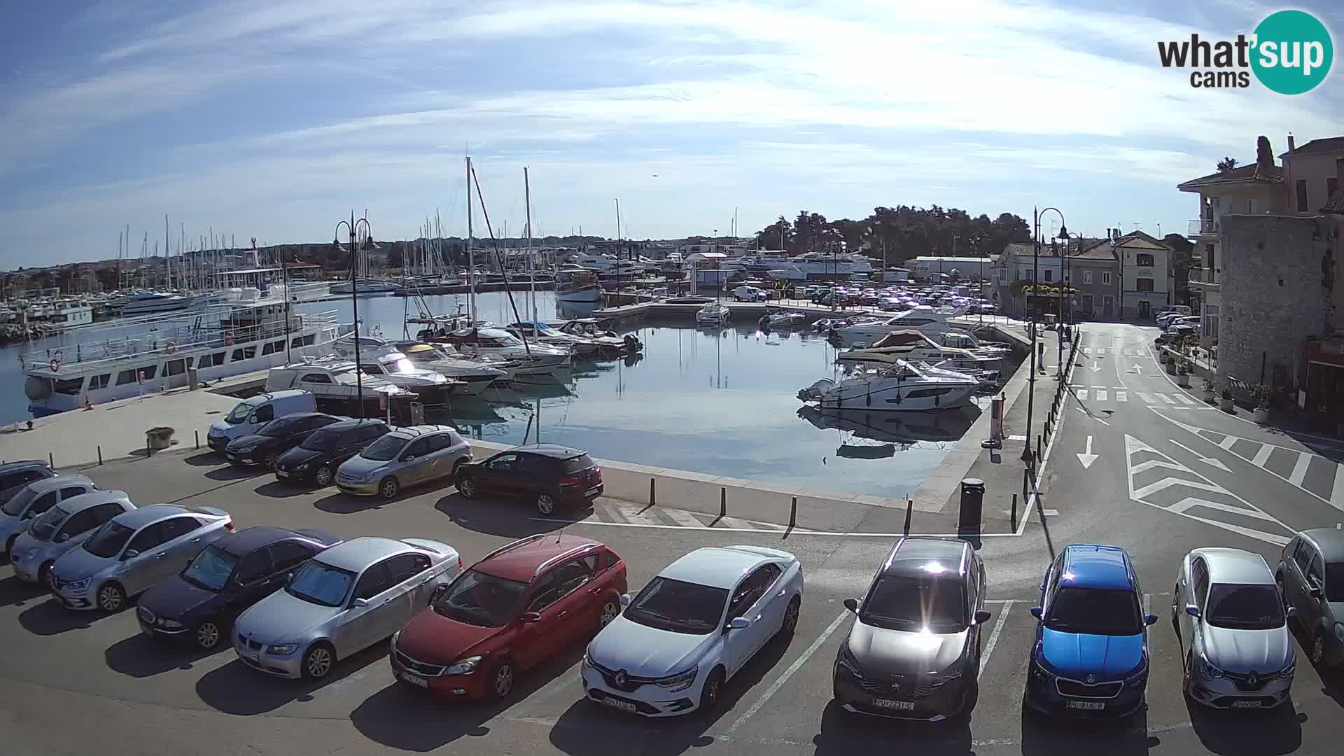 Novigrad | Porporela marina